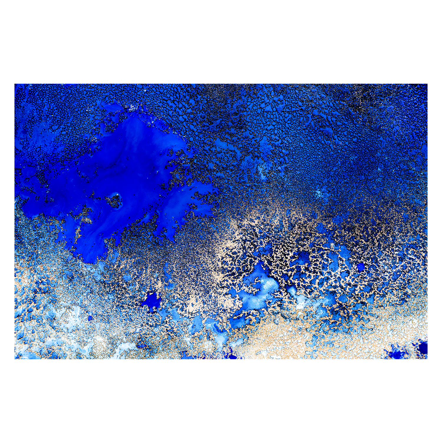 wall-art-print-canvas-poster-framed-Sunlit Reef , By Petra Meikle-1