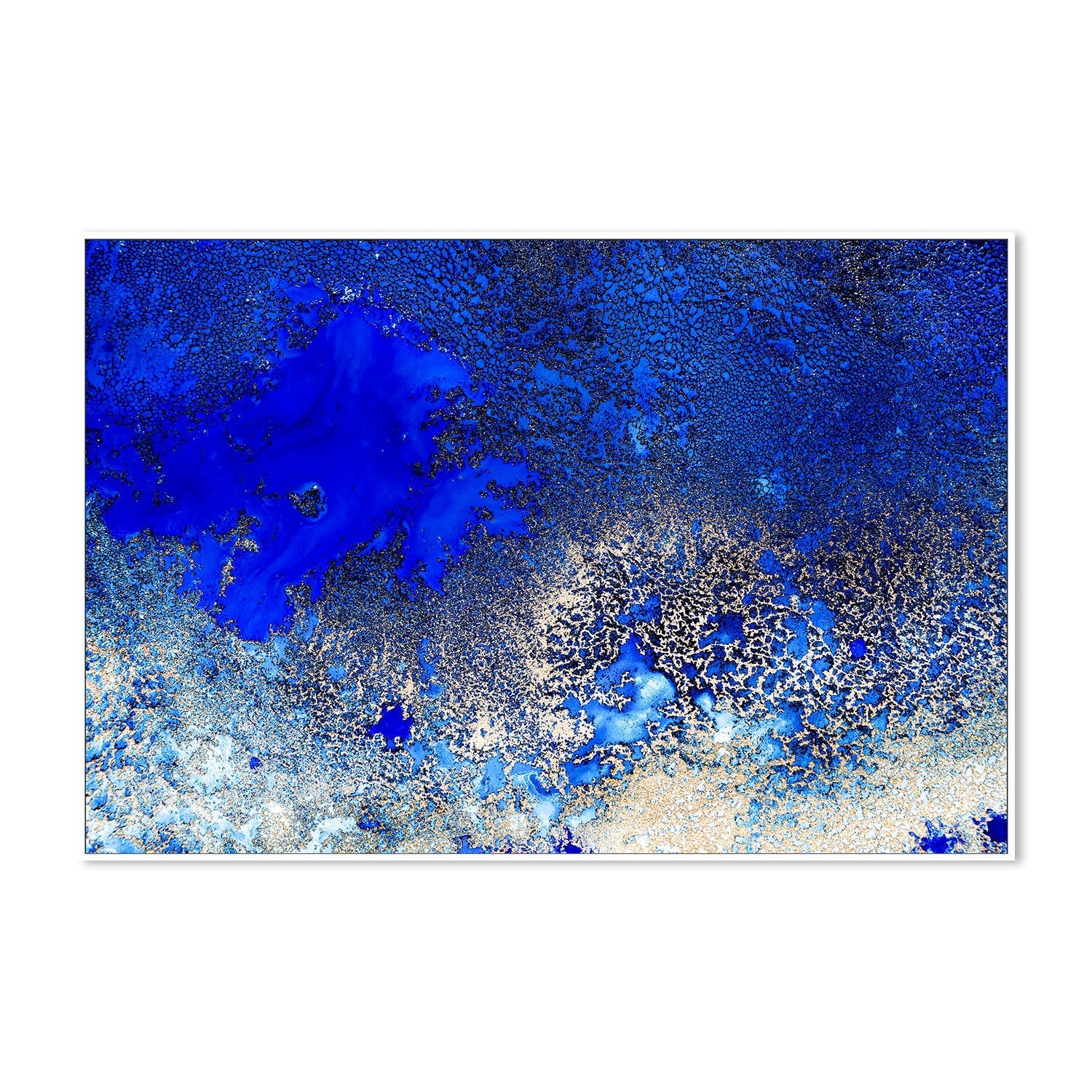 wall-art-print-canvas-poster-framed-Sunlit Reef , By Petra Meikle-5