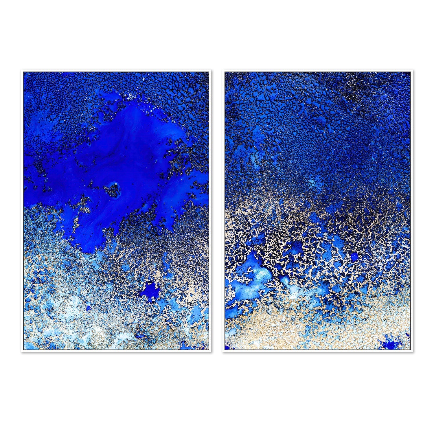 wall-art-print-canvas-poster-framed-Sunlit Reef, Style A & B, Set Of 2 , By Petra Meikle-5