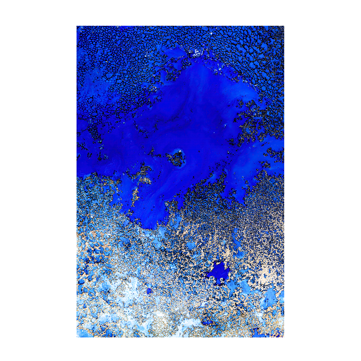 wall-art-print-canvas-poster-framed-Sunlit Reef, Style A , By Petra Meikle-1