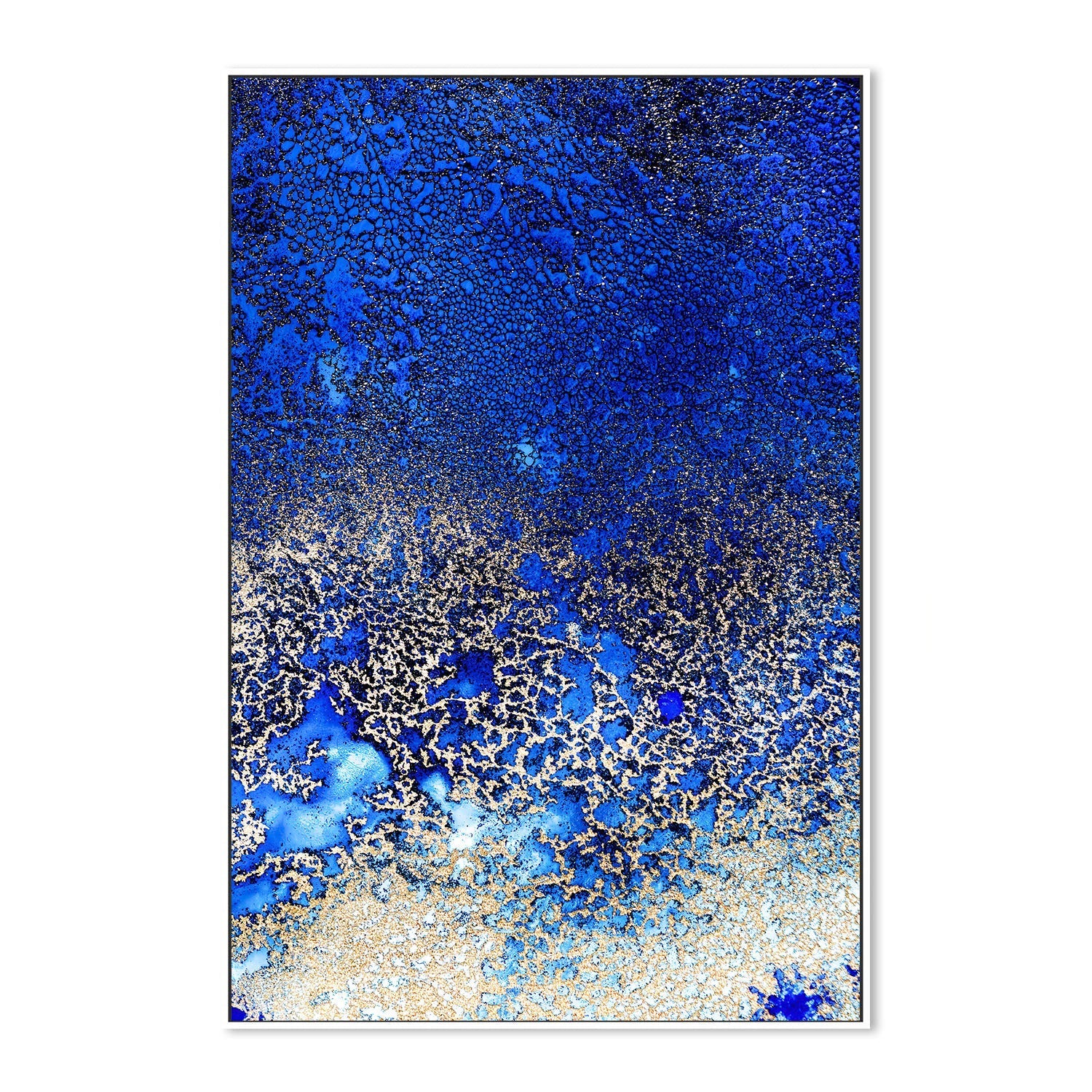wall-art-print-canvas-poster-framed-Sunlit Reef, Style B , By Petra Meikle-5