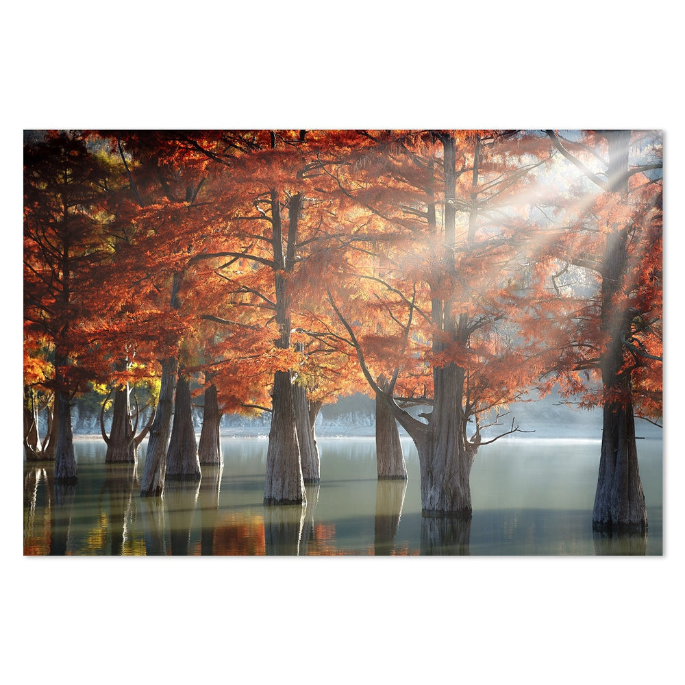 wall-art-print-canvas-poster-framed-Sunny Cypress Trees, By Dmitry Nesvetaylov-by-Plus X Studio-Gioia Wall Art