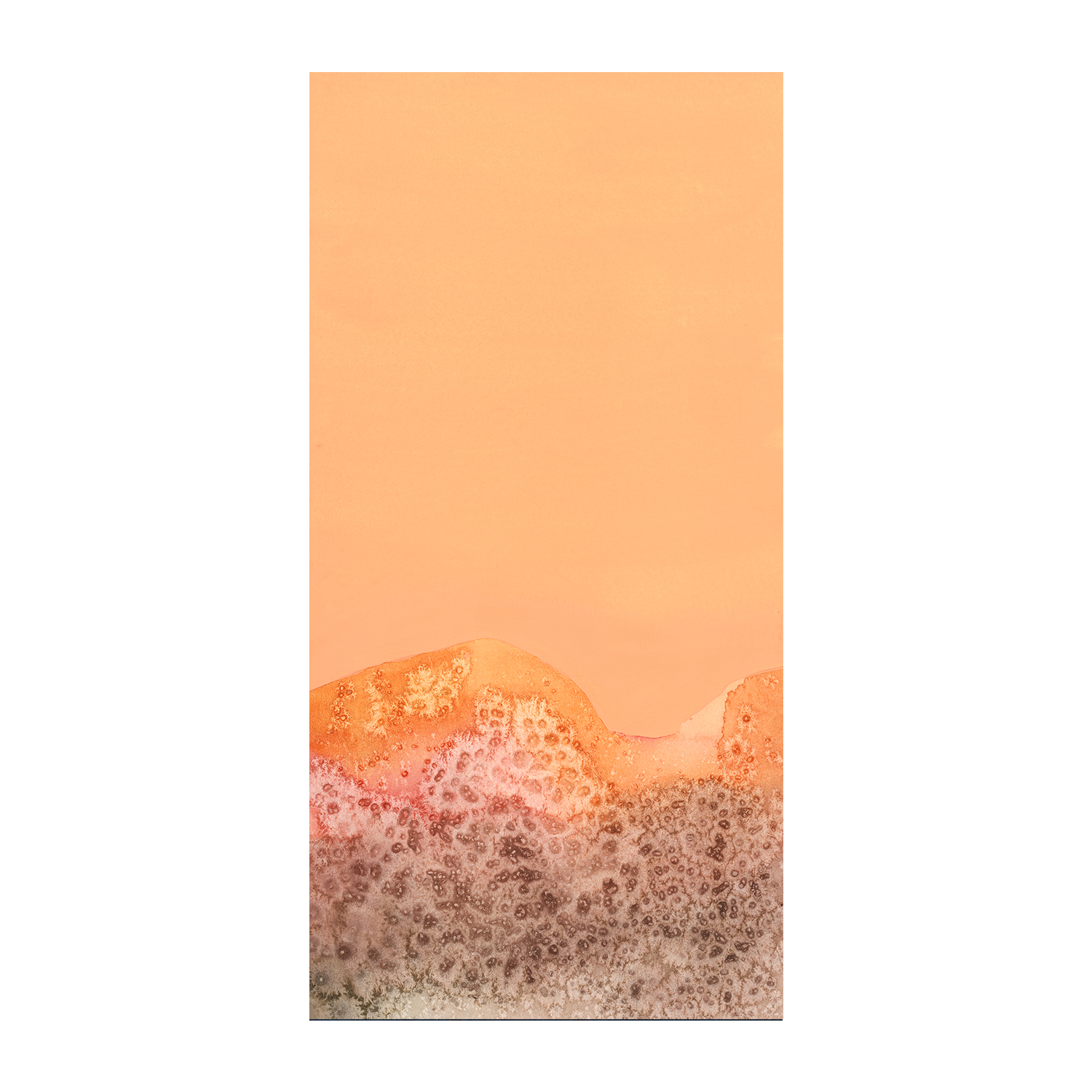 wall-art-print-canvas-poster-framed-Tangerine Hills, Style A , By Aubrey-1