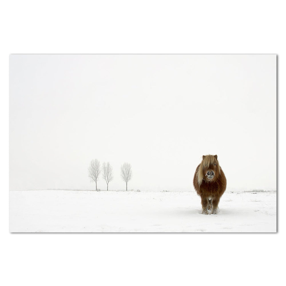 wall-art-print-canvas-poster-framed-The Cold Pony, By Gert Van Den Bosch-by-Plus X Studio-Gioia Wall Art