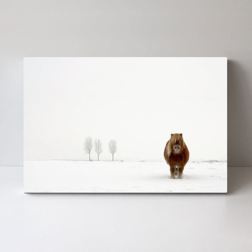 wall-art-print-canvas-poster-framed-The Cold Pony, By Gert Van Den Bosch-by-Plus X Studio-Gioia Wall Art