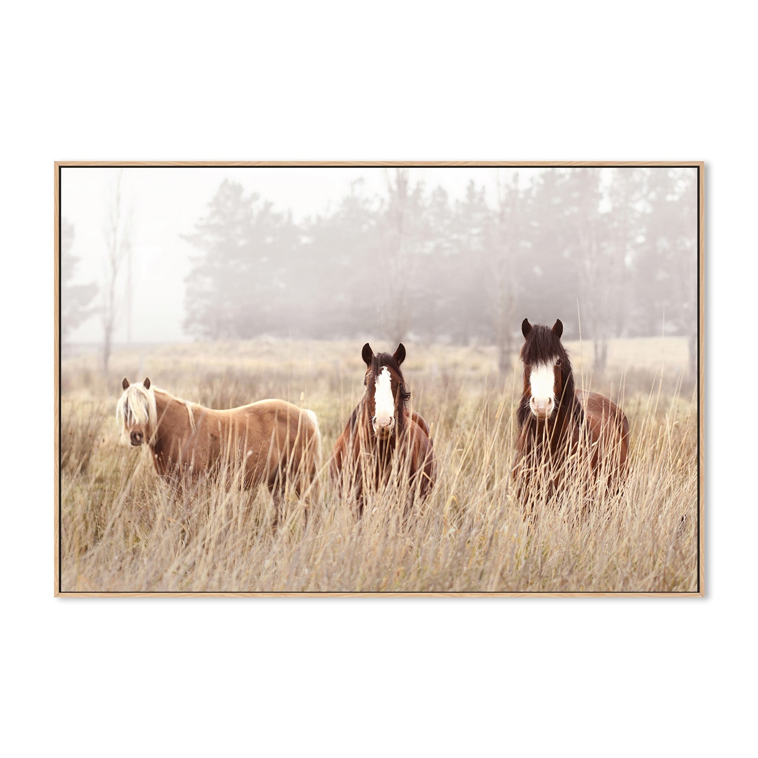 wall-art-print-canvas-poster-framed-The Gang , By Belinda Gerace-4