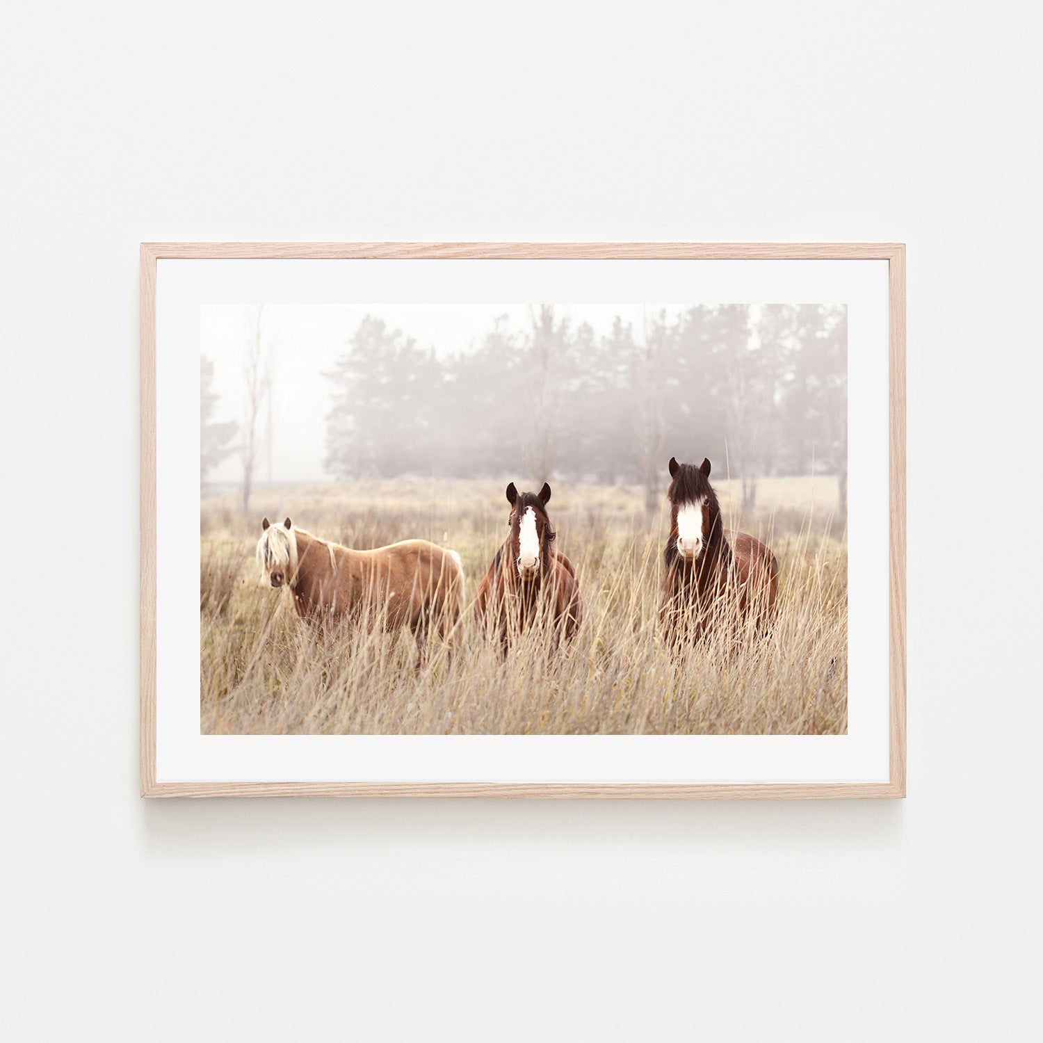 wall-art-print-canvas-poster-framed-The Gang , By Belinda Gerace-6