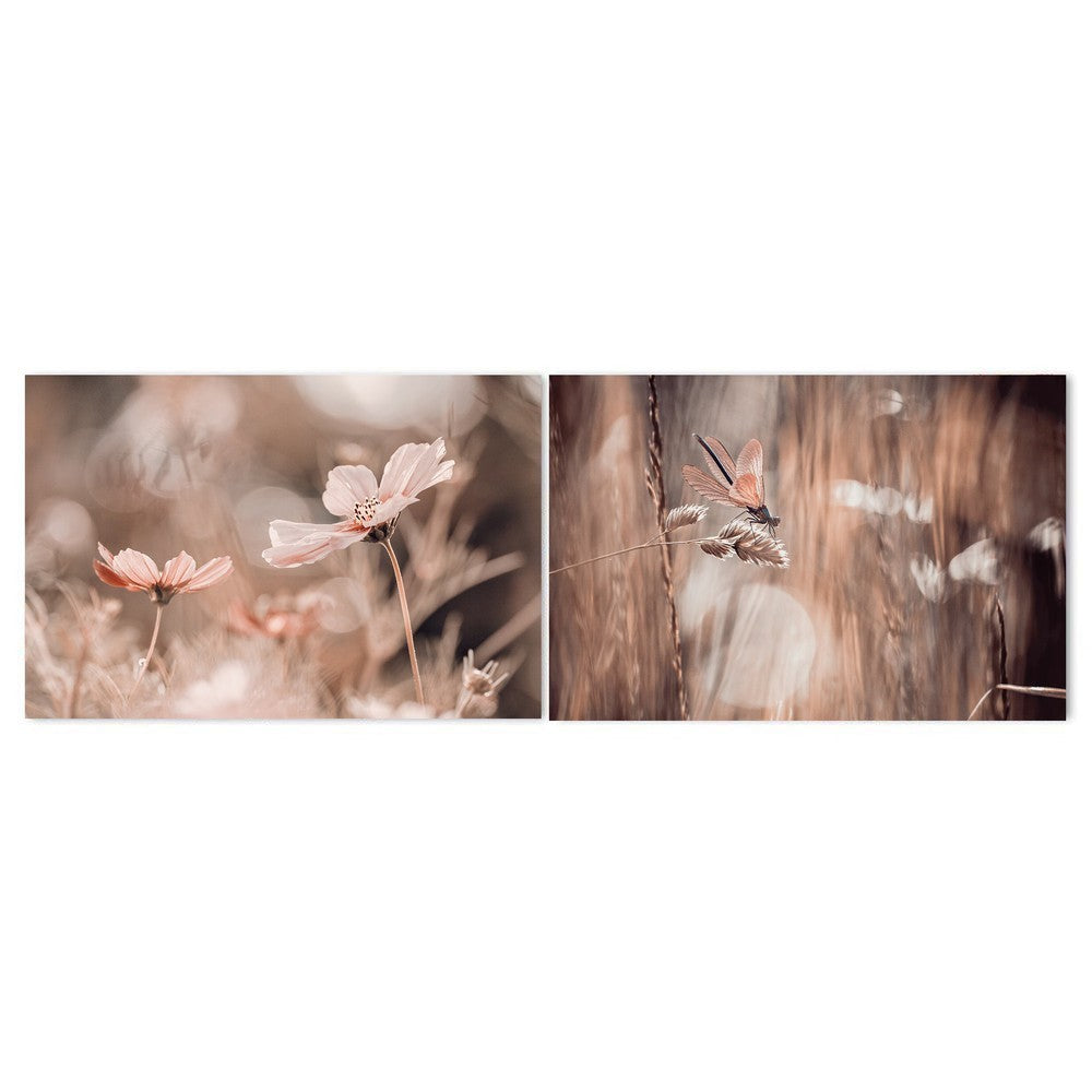 wall-art-print-canvas-poster-framed-The Little Nature Wonder, Set Of 2-by-Plus X Studio-Gioia Wall Art