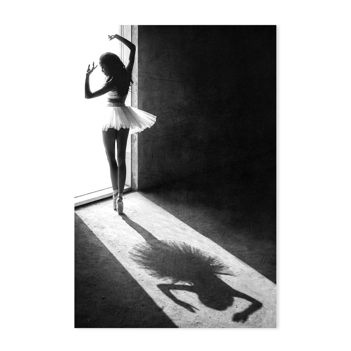 wall-art-print-canvas-poster-framed-The Shadow Dance, Set of 2-by-Plus X Studio-Gioia Wall Art