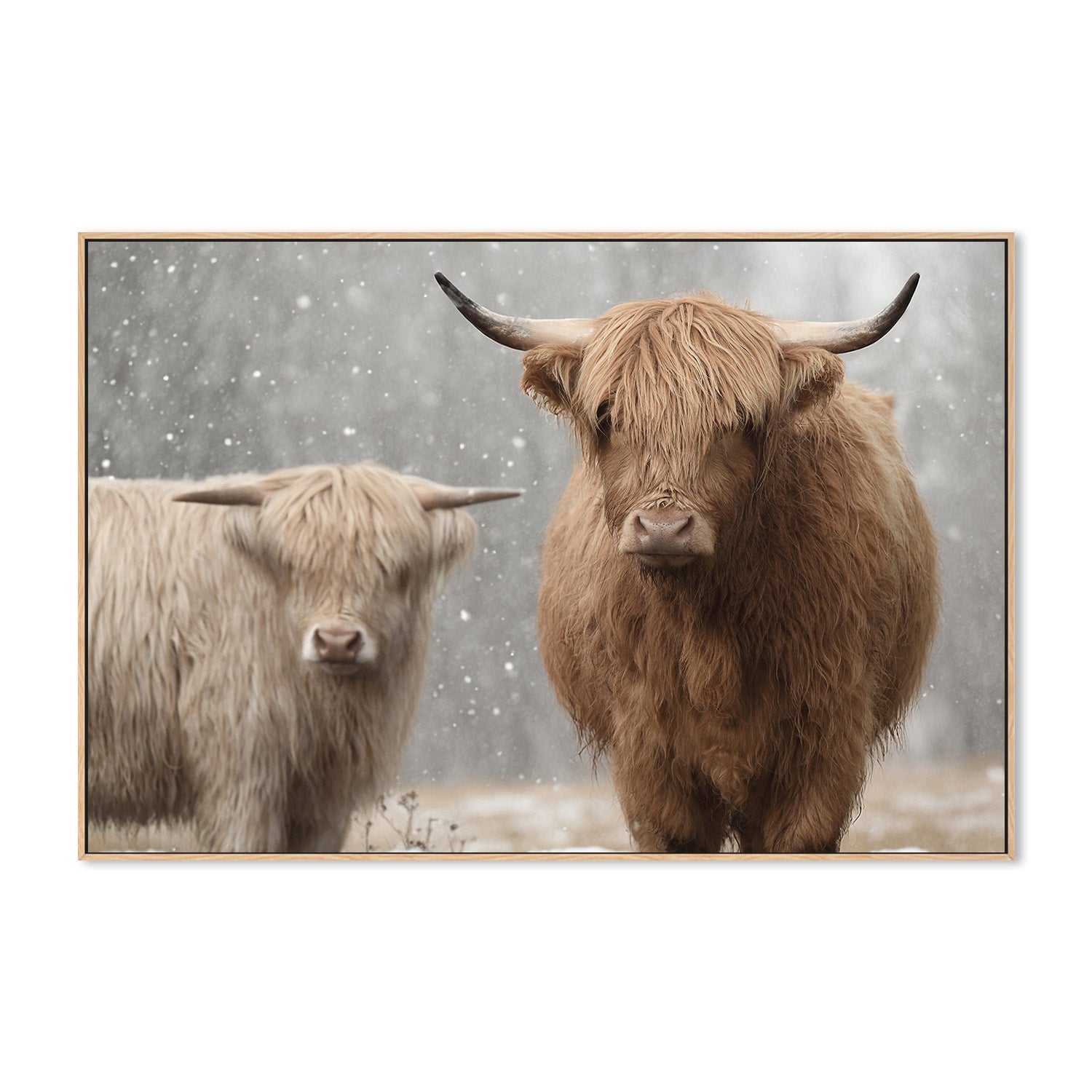 wall-art-print-canvas-poster-framed-The Special Two , By Belinda Gerace-4