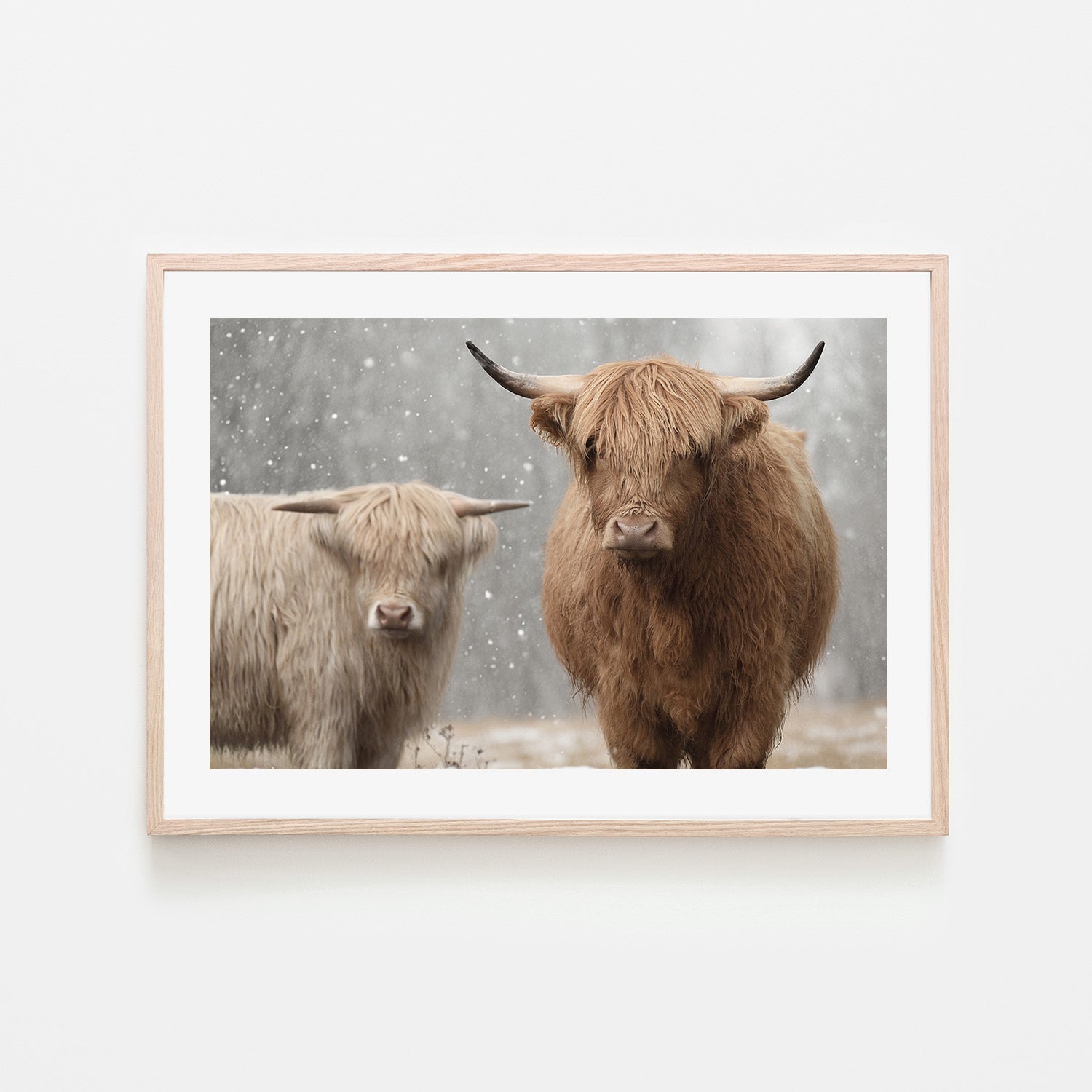wall-art-print-canvas-poster-framed-The Special Two , By Belinda Gerace-6