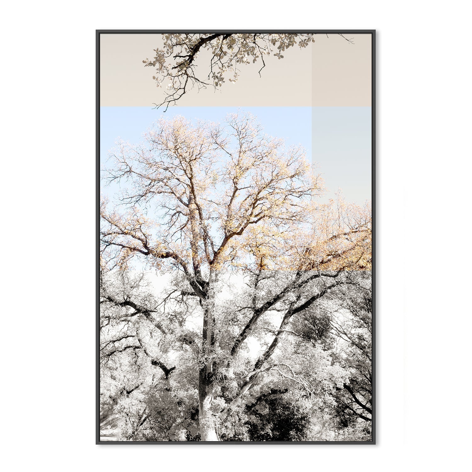 wall-art-print-canvas-poster-framed-Tree Collage, Style A , By Hope Bainbridge-3