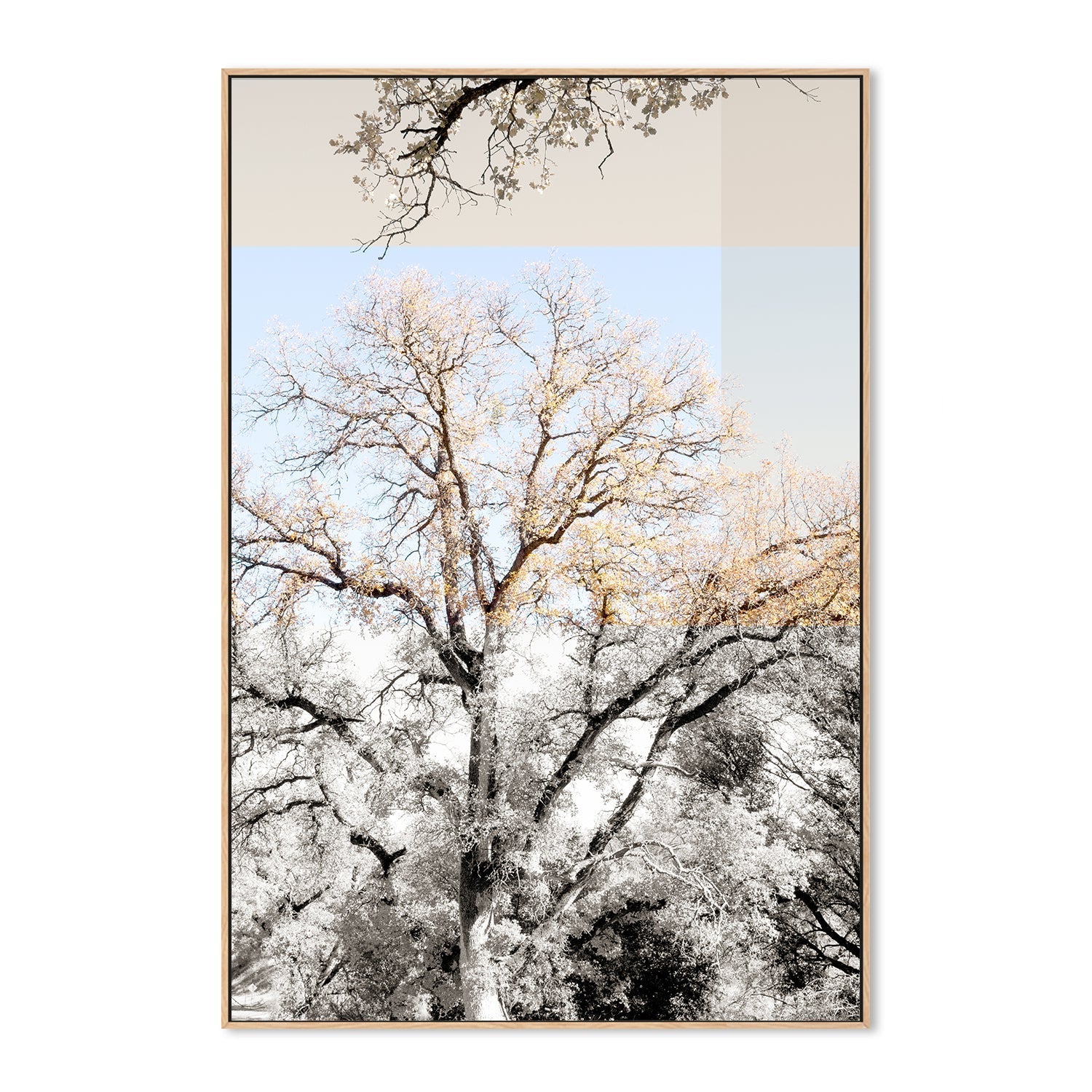 wall-art-print-canvas-poster-framed-Tree Collage, Style A , By Hope Bainbridge-4