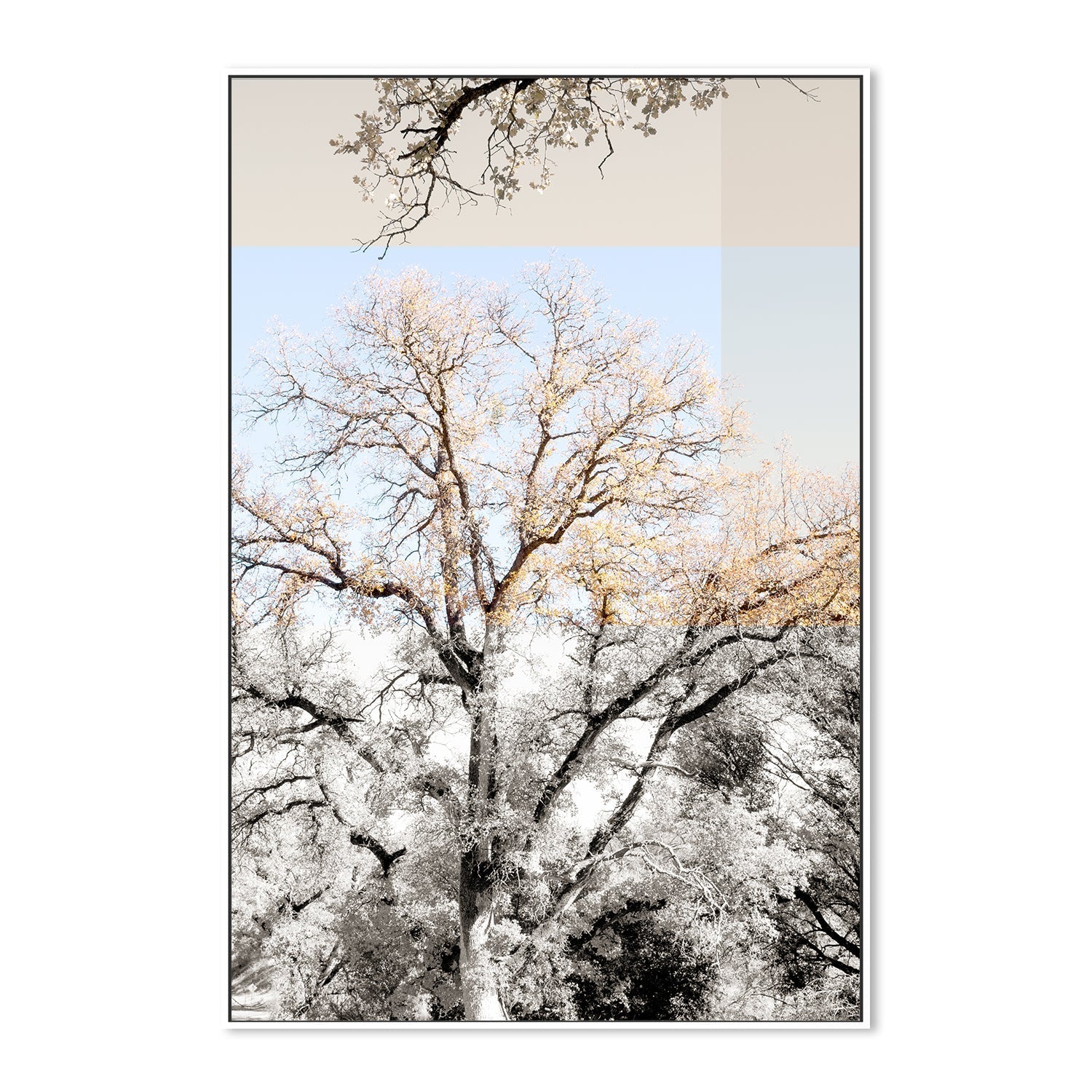 wall-art-print-canvas-poster-framed-Tree Collage, Style A , By Hope Bainbridge-5