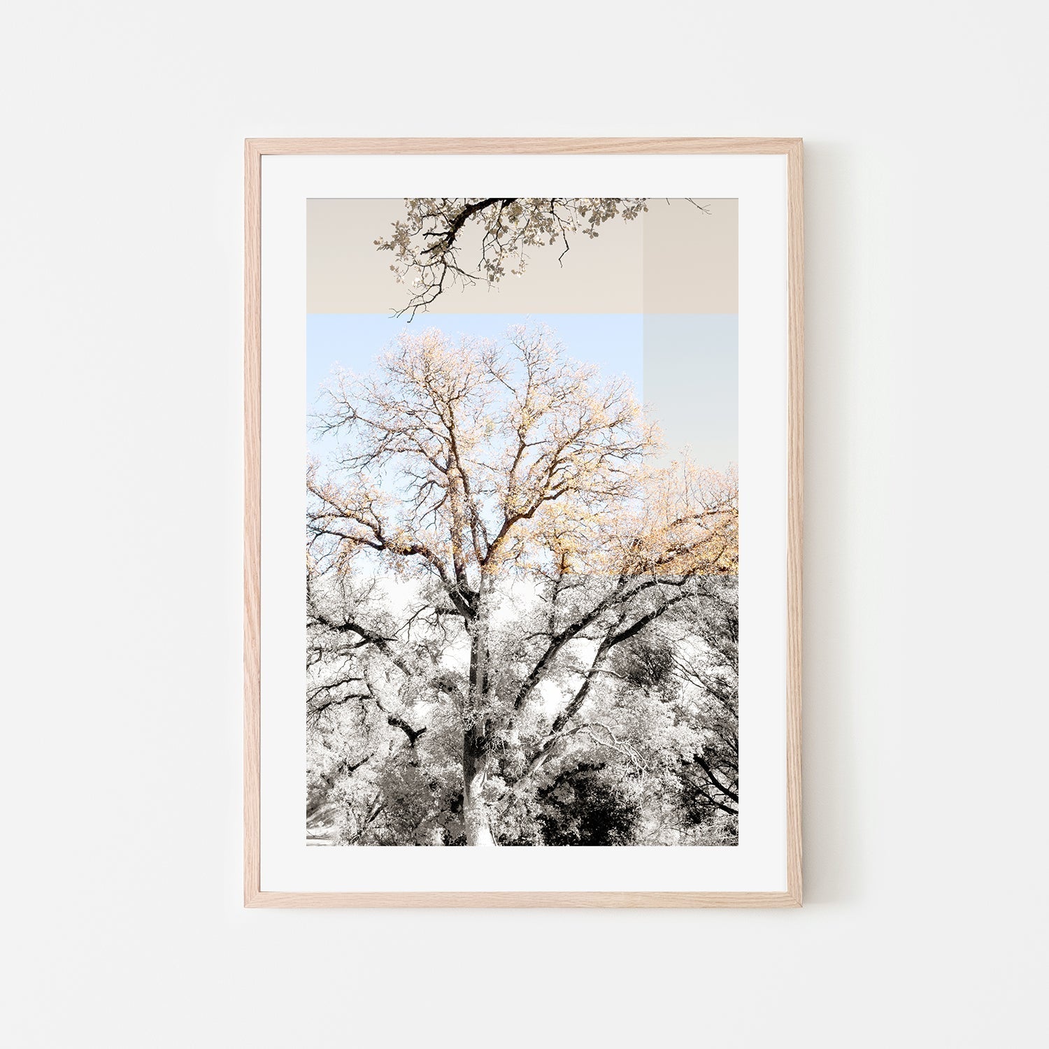 wall-art-print-canvas-poster-framed-Tree Collage, Style A , By Hope Bainbridge-6