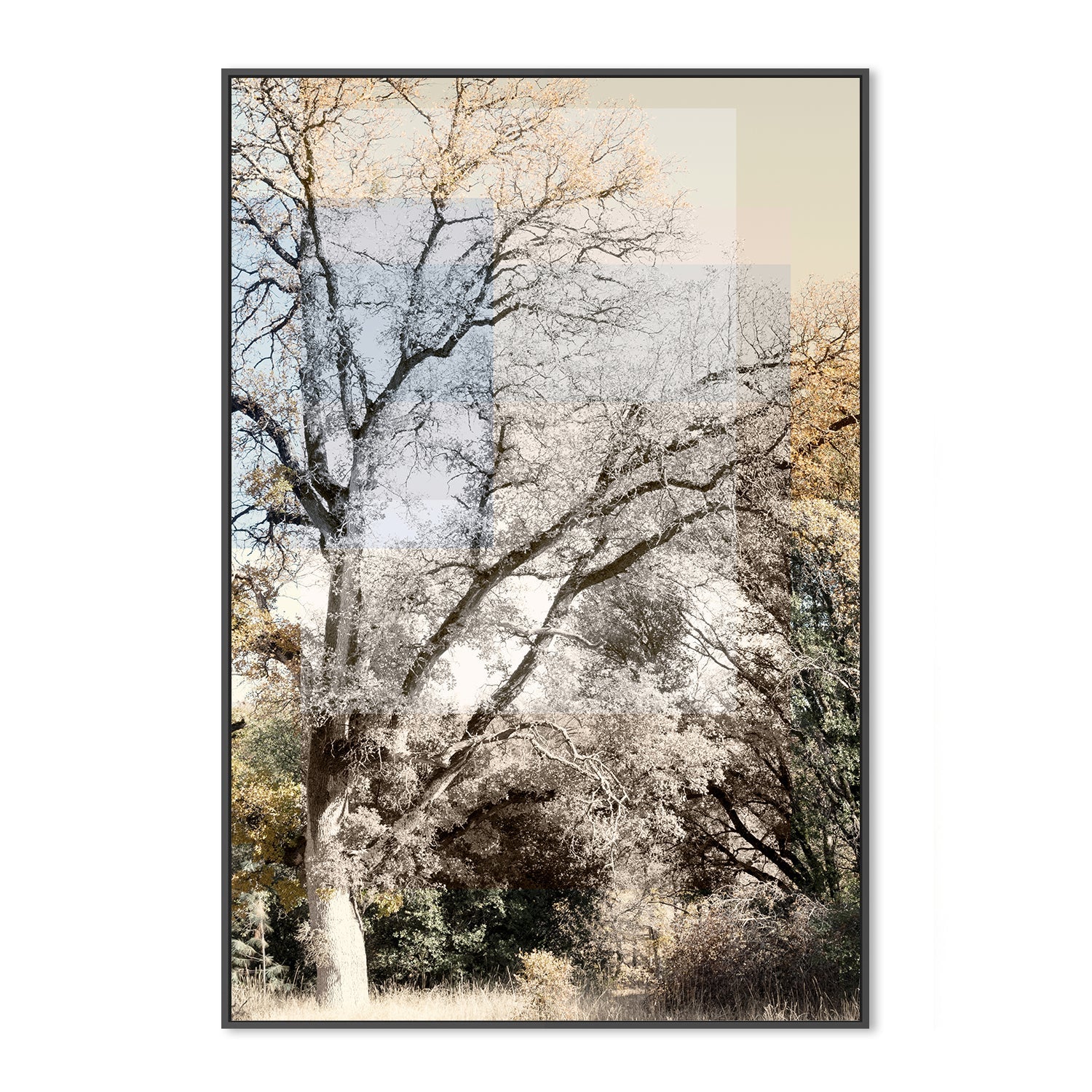 wall-art-print-canvas-poster-framed-Tree Collage, Style B , By Hope Bainbridge-3