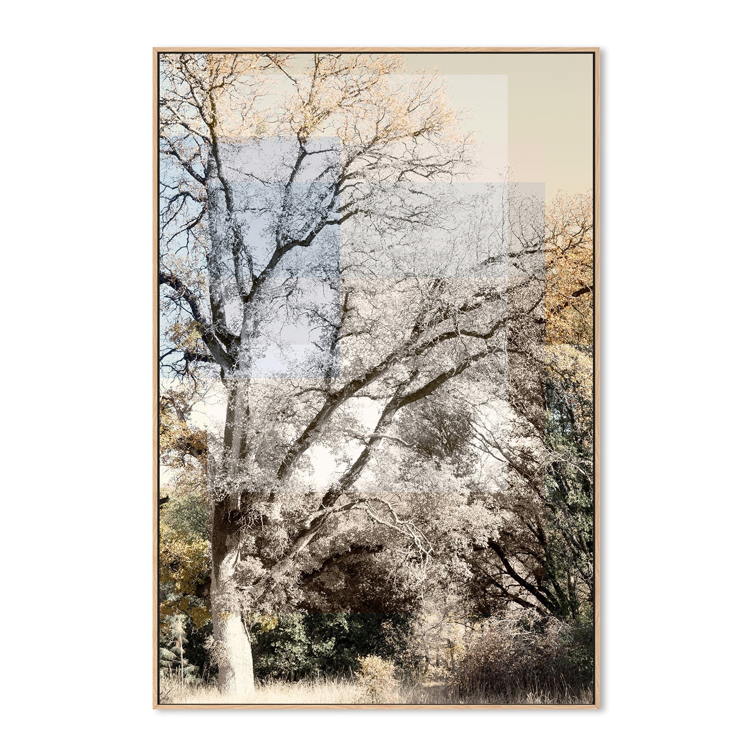 wall-art-print-canvas-poster-framed-Tree Collage, Style B , By Hope Bainbridge-4