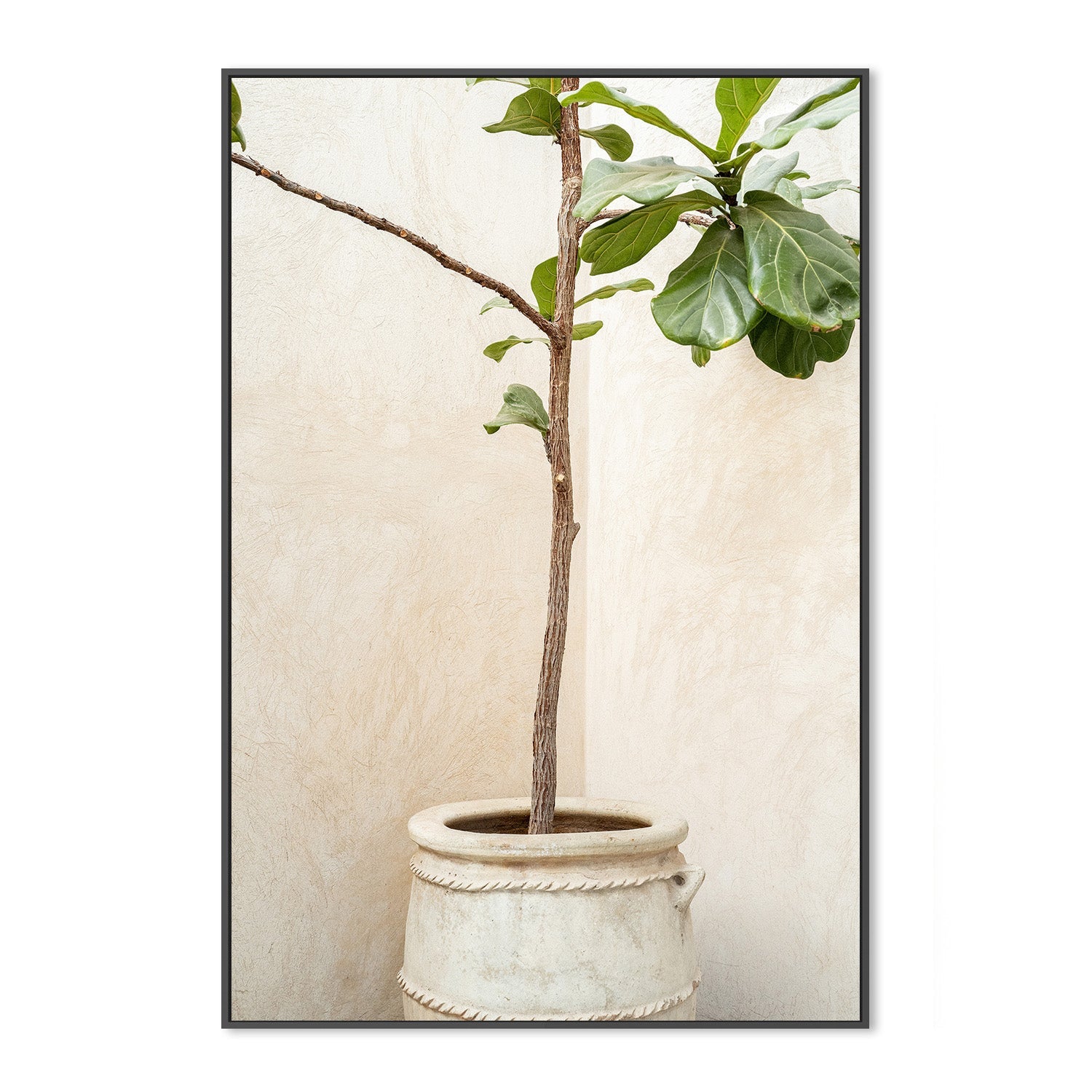 wall-art-print-canvas-poster-framed-Tree In a Pot-3