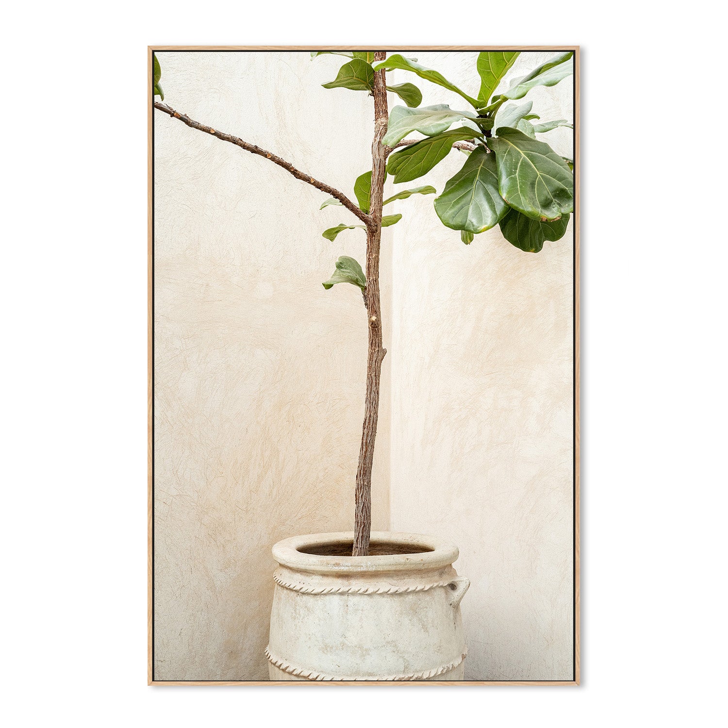 wall-art-print-canvas-poster-framed-Tree In a Pot-4