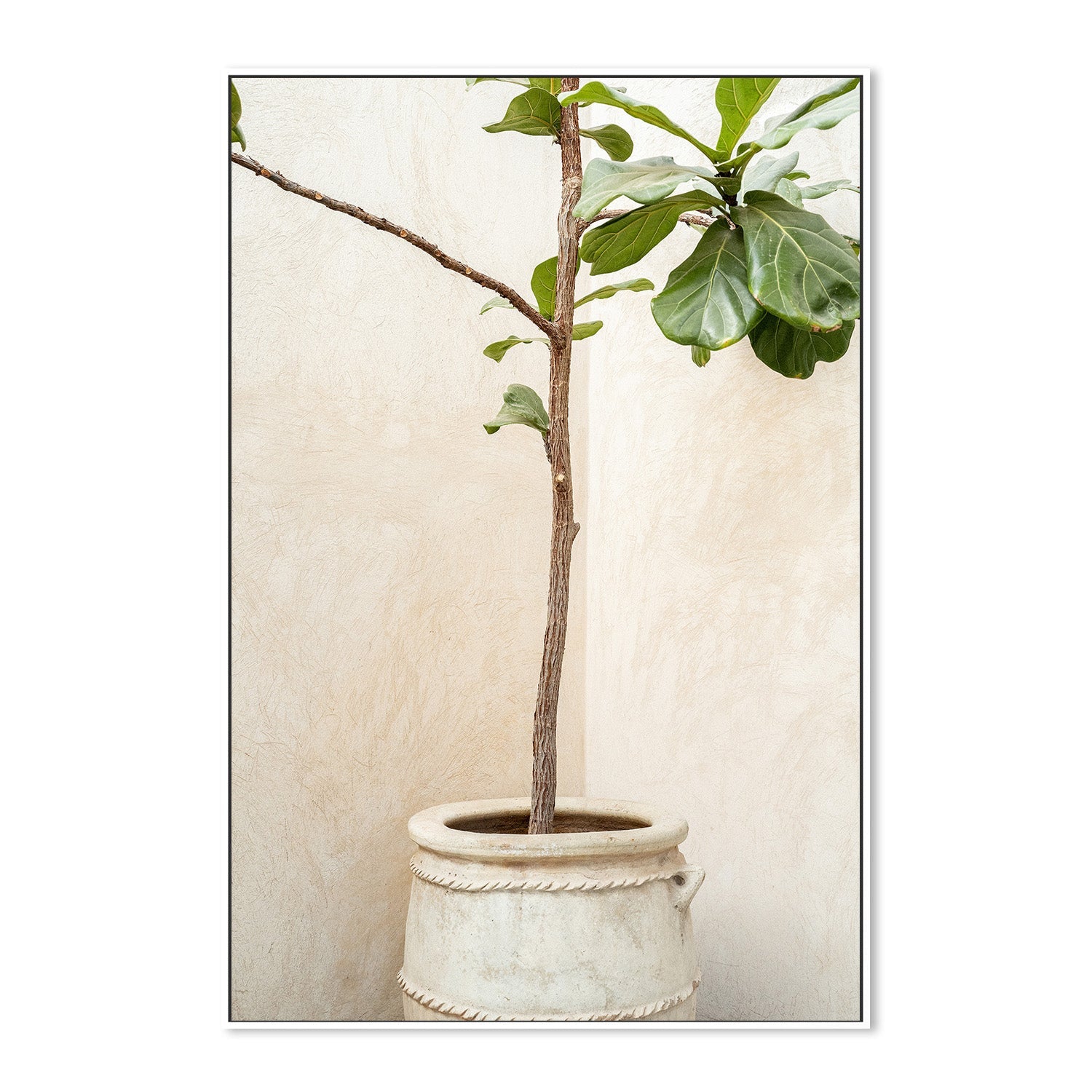 wall-art-print-canvas-poster-framed-Tree In a Pot-5