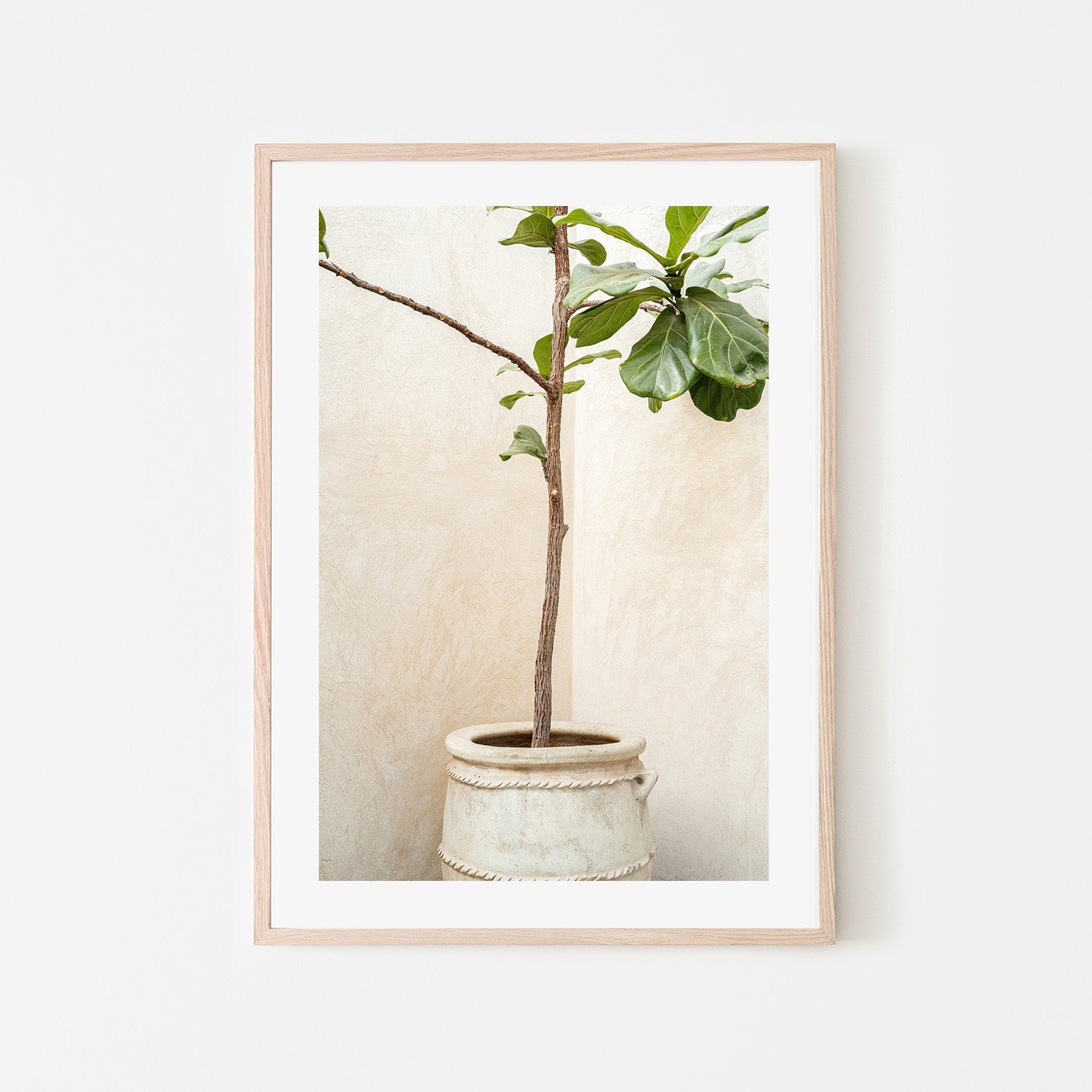 wall-art-print-canvas-poster-framed-Tree In a Pot-6
