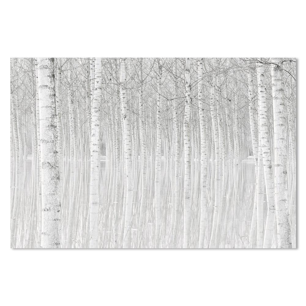 wall-art-print-canvas-poster-framed-Trees, By Aglioni Simone-by-Plus X Studio-Gioia Wall Art