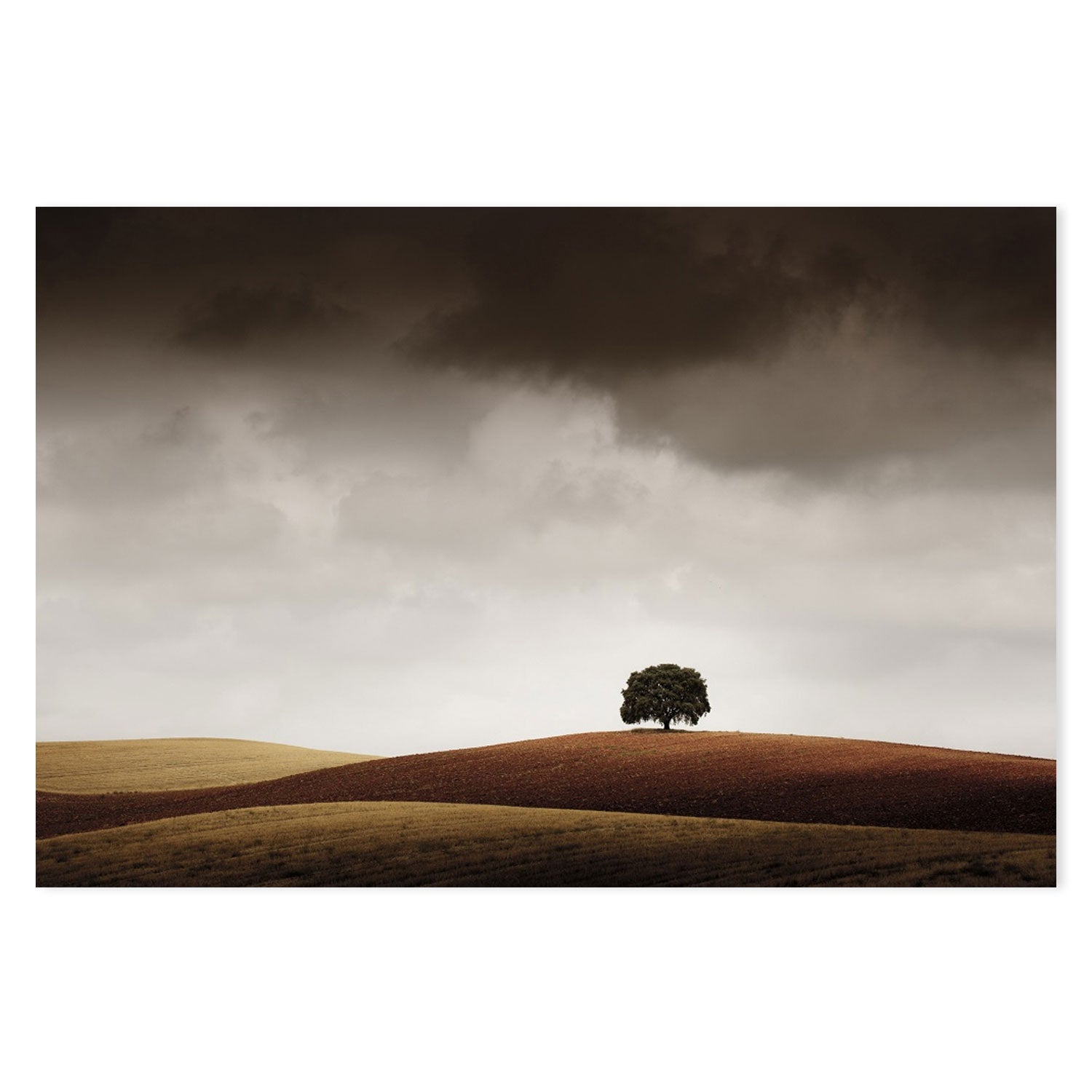 wall-art-print-canvas-poster-framed-Tuve Que Pararme Al Verla, by Alberto Merchán-by-Plus X Studio-Gioia Wall Art