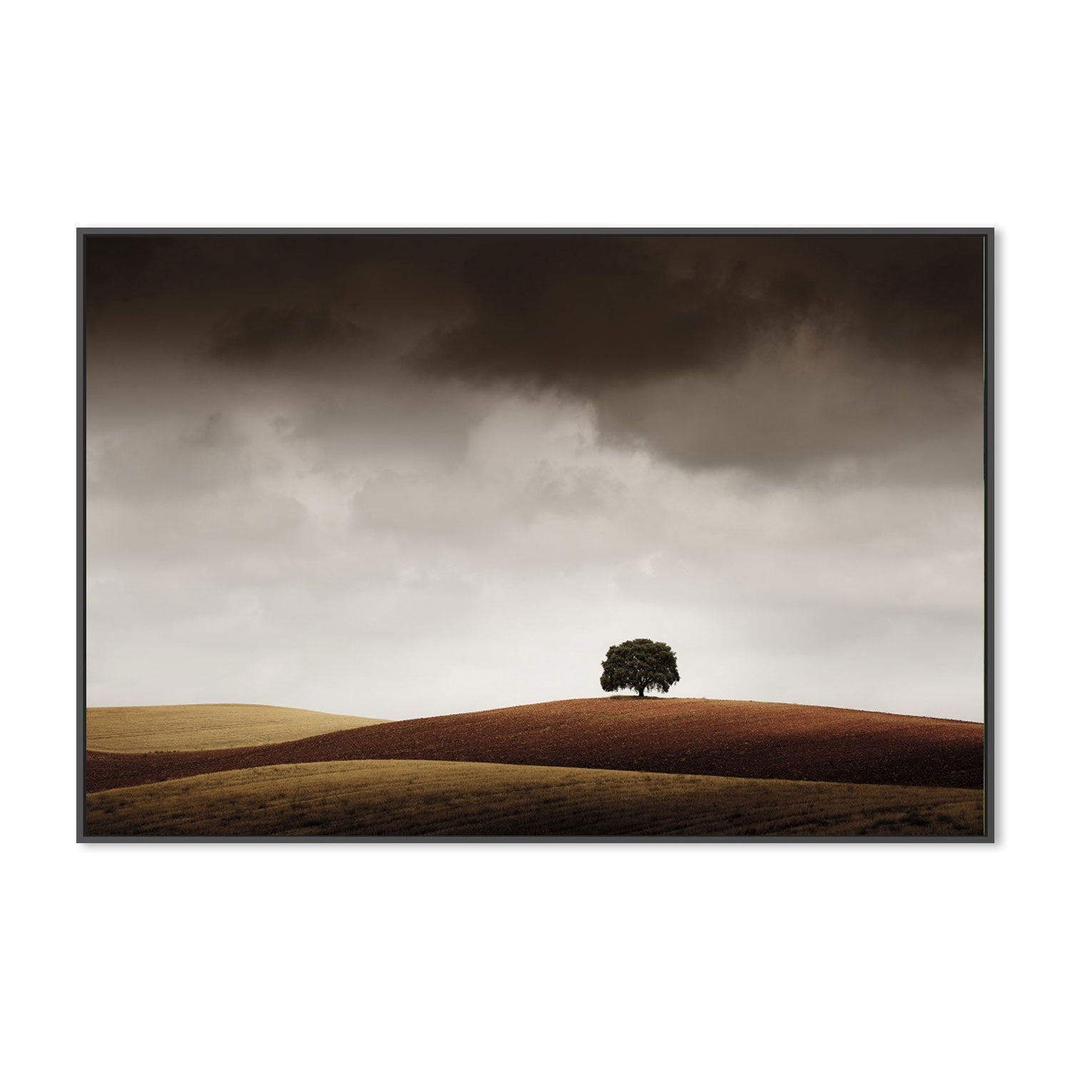 wall-art-print-canvas-poster-framed-Tuve Que Pararme Al Verla, by Alberto Merchán-by-Plus X Studio-Gioia Wall Art