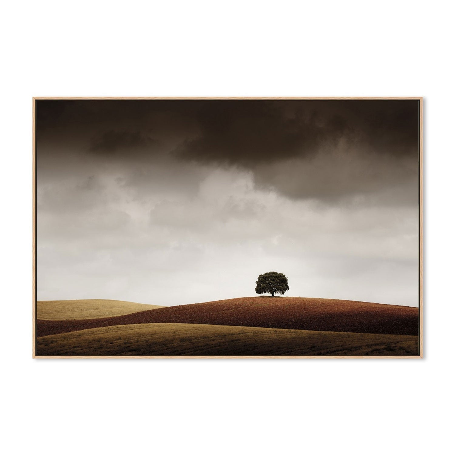 wall-art-print-canvas-poster-framed-Tuve Que Pararme Al Verla, by Alberto Merchán-by-Plus X Studio-Gioia Wall Art