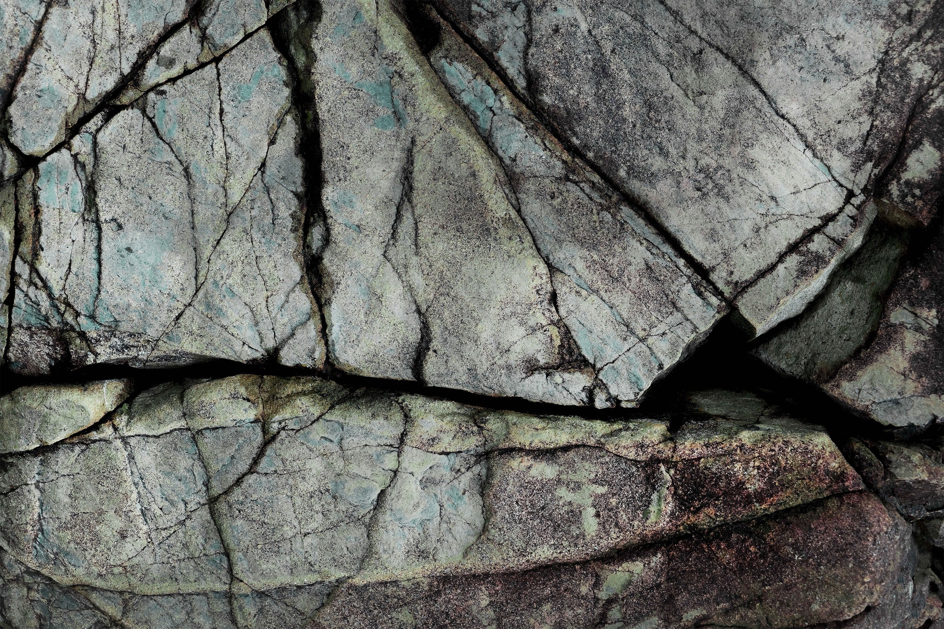 wall-art-print-canvas-poster-framed-Understory-1