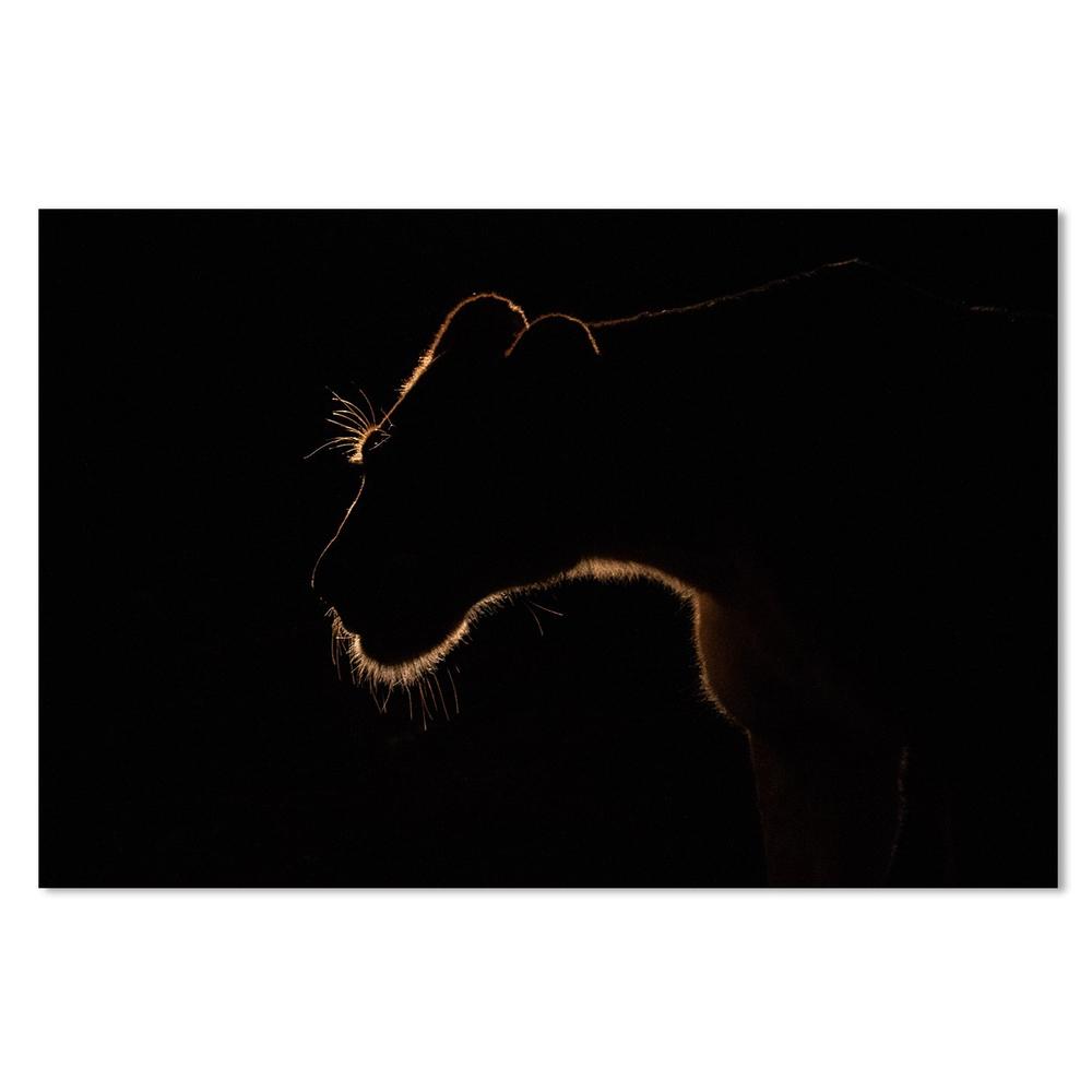 wall-art-print-canvas-poster-framed-Untitled, Style D, By Amnon Eichelberg-by-Plus X Studio-Gioia Wall Art