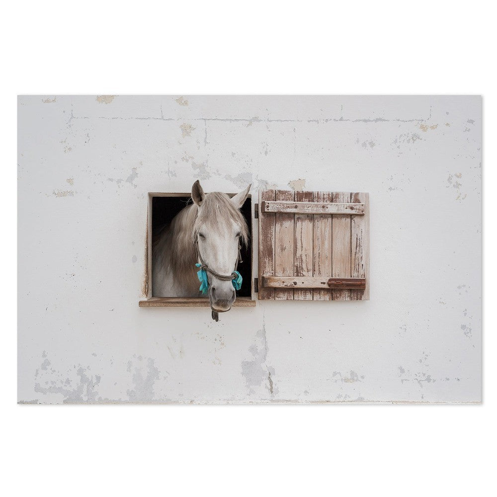wall-art-print-canvas-poster-framed-Ventania, By Carey Coombs-by-Plus X Studio-Gioia Wall Art
