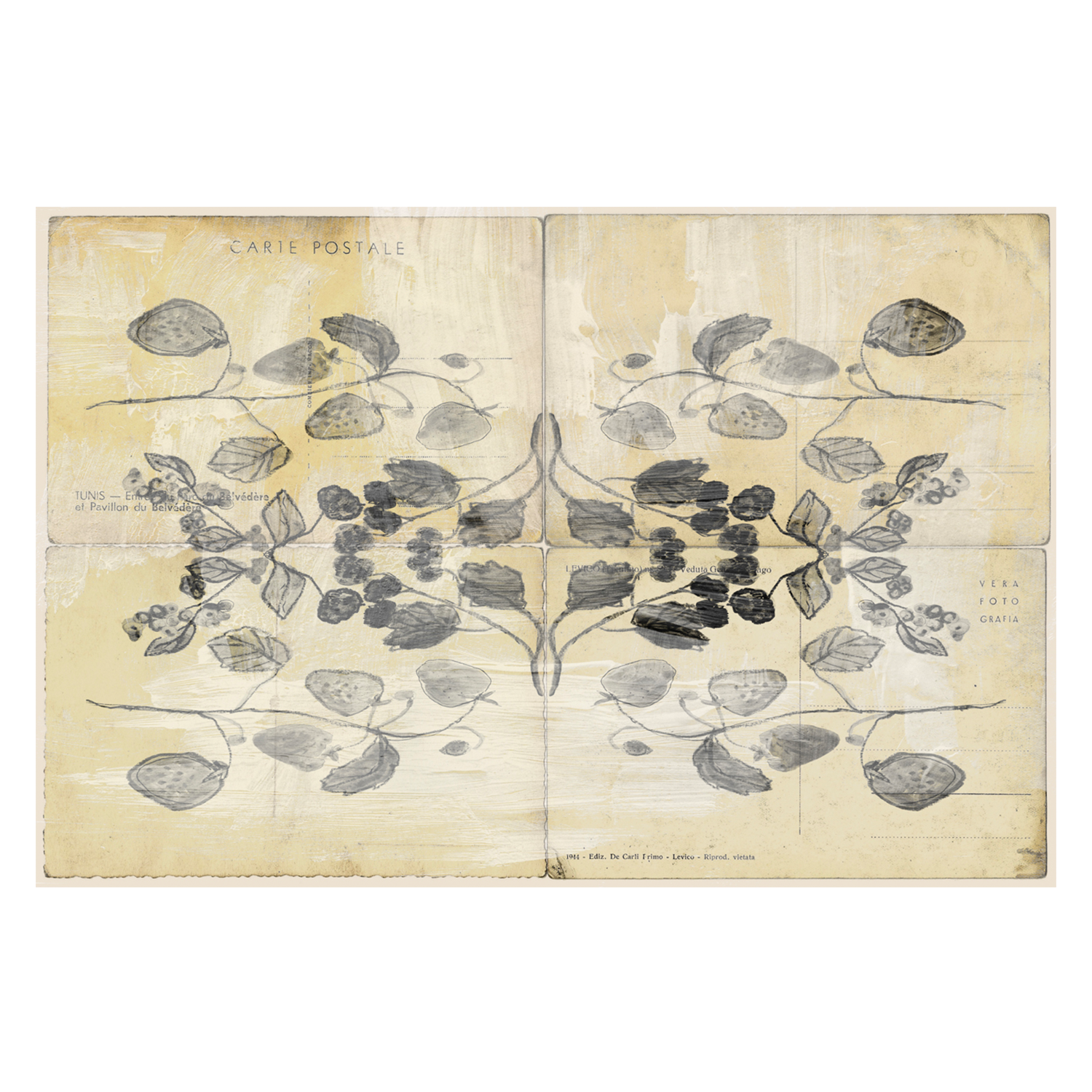 wall-art-print-canvas-poster-framed-Vintage Berries , By Hope Bainbridge-1