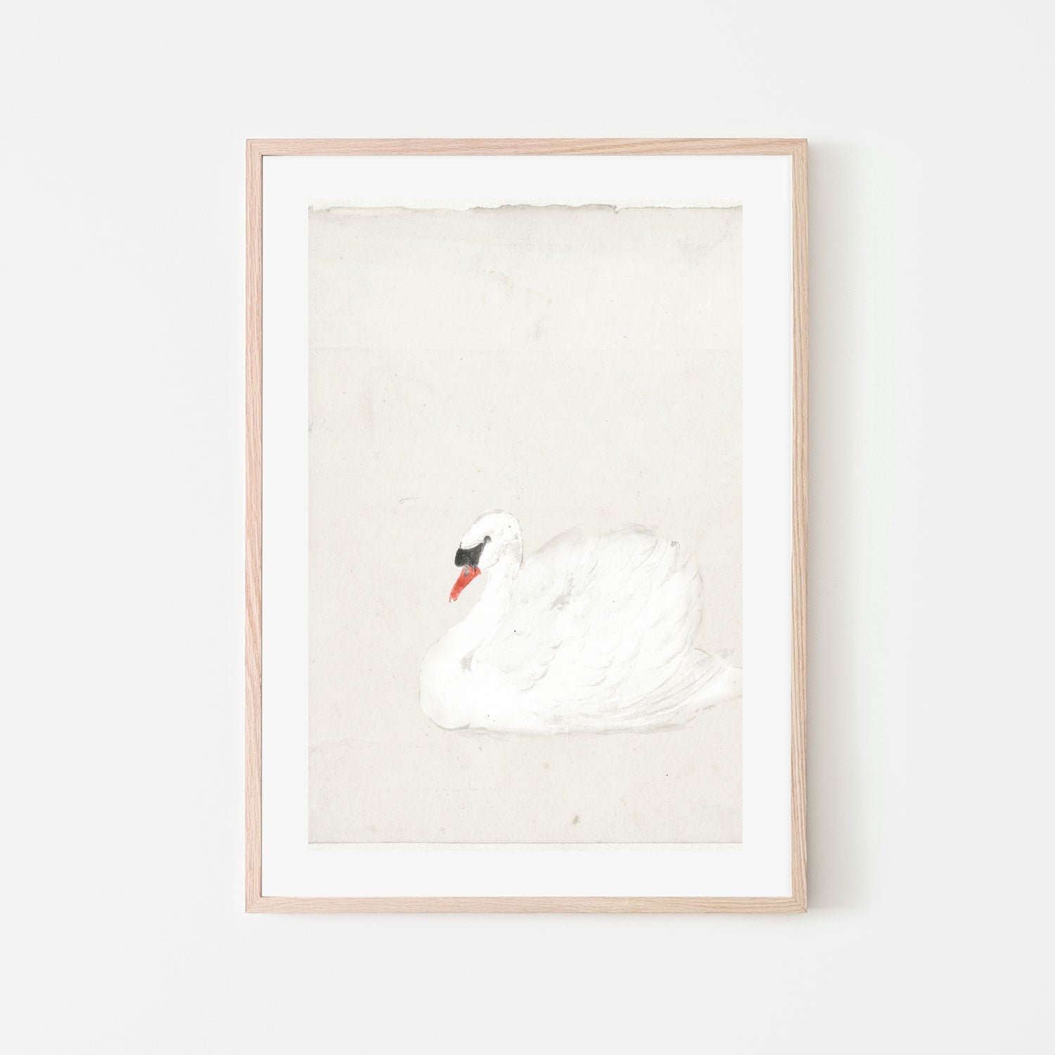 wall-art-print-canvas-poster-framed-Vintage Swan Illustration , By Leah Straatsma-6