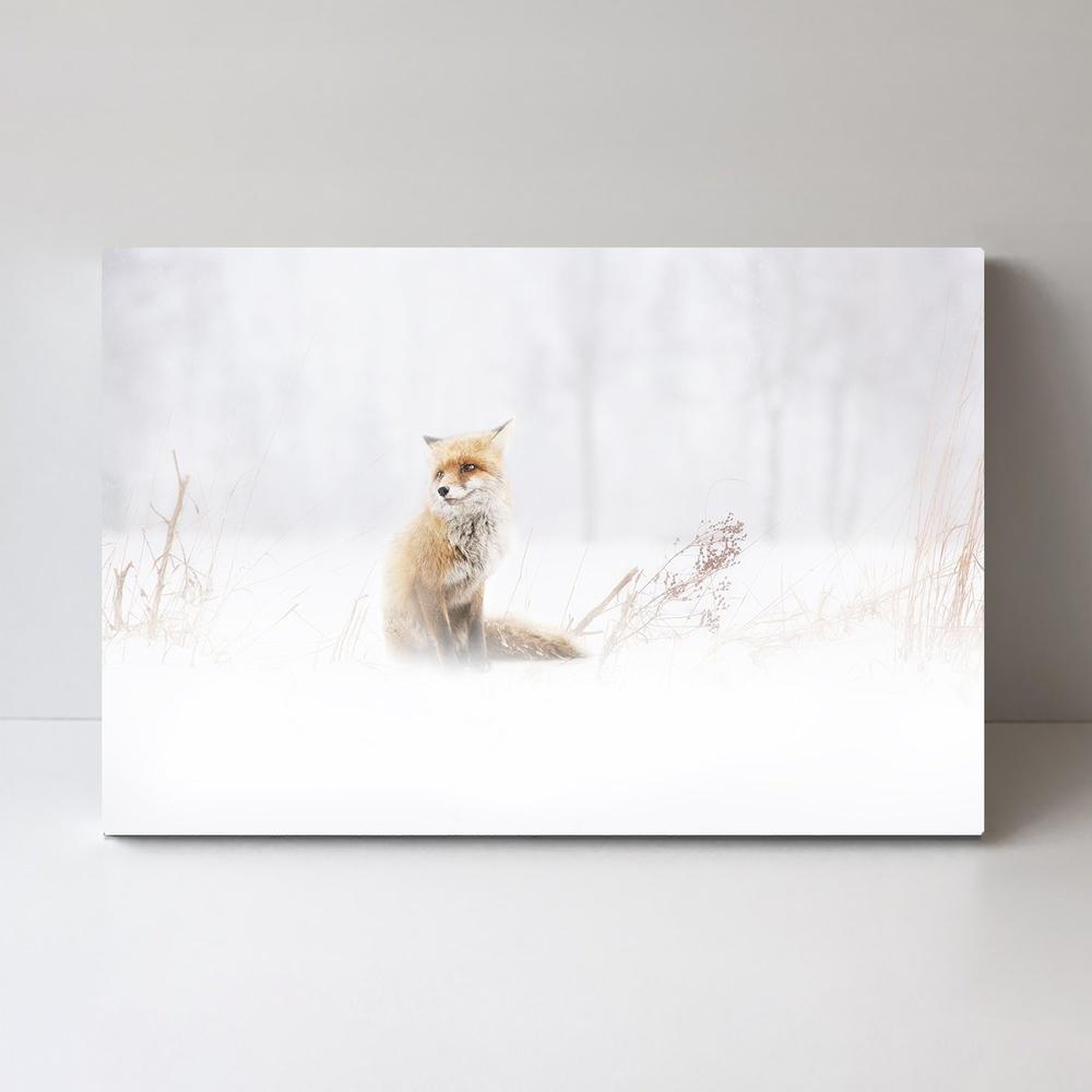 wall-art-print-canvas-poster-framed-Waiting..., By Doris Reindl-by-Plus X Studio-Gioia Wall Art