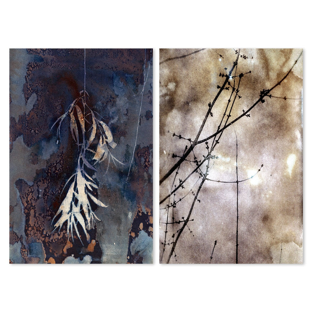 wall-art-print-canvas-poster-framed-Warm Skies And Purple Leaves, Set Of 2-by-Krista Mccurdy-Gioia Wall Art