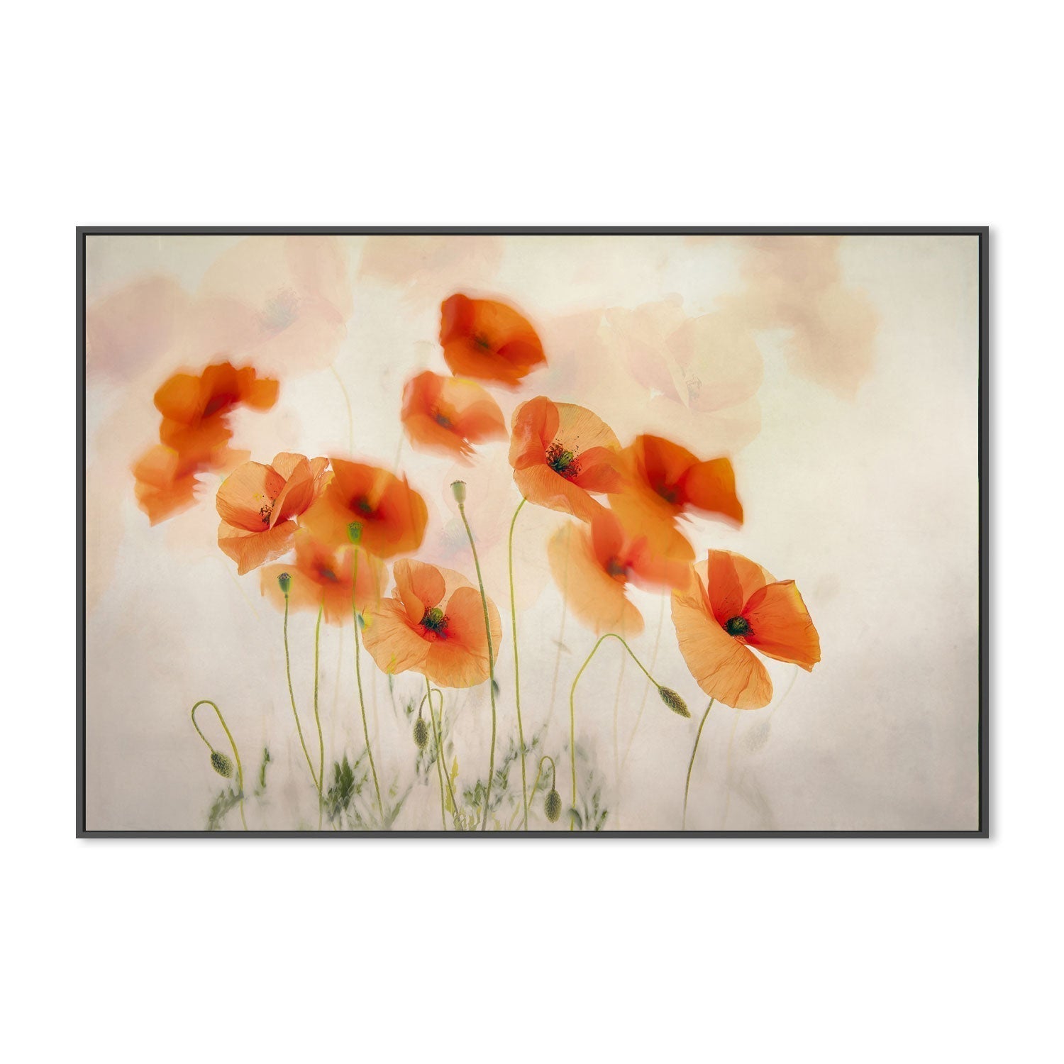 Waving In The Wind, by Nel Talen-Gioia-Prints-Framed-Canvas-Poster-GIOIA-WALL-ART