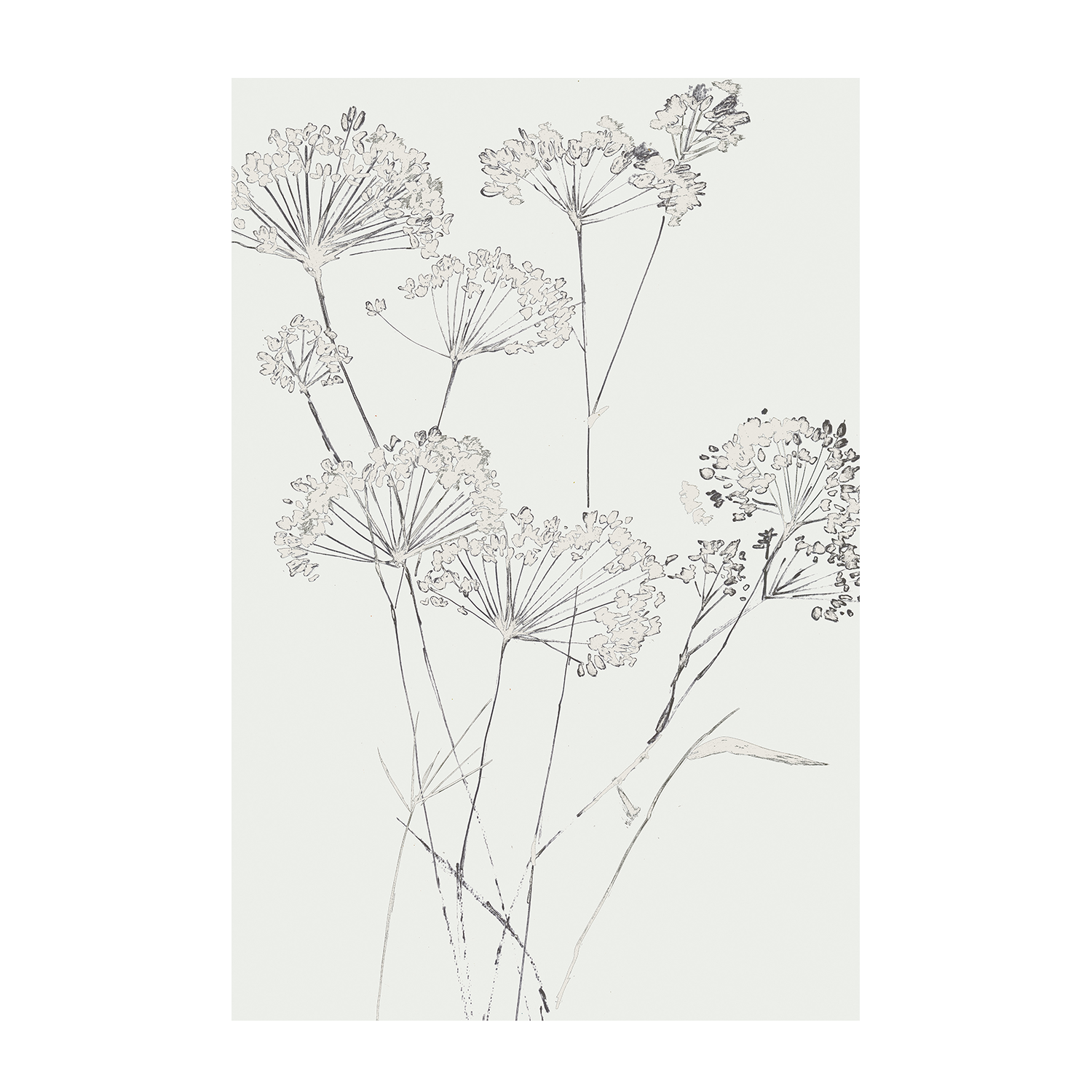 wall-art-print-canvas-poster-framed-White Delicate, Style A , By Asia Jensen-1