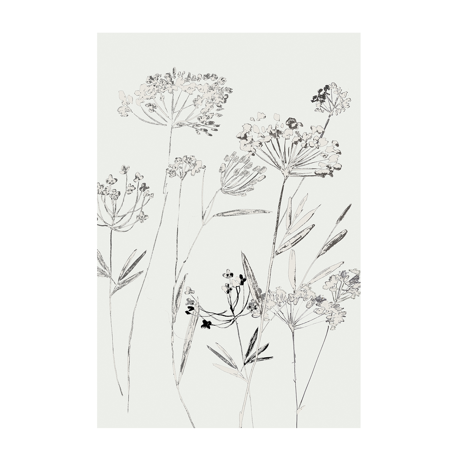 wall-art-print-canvas-poster-framed-White Delicate, Style B , By Asia Jensen-1