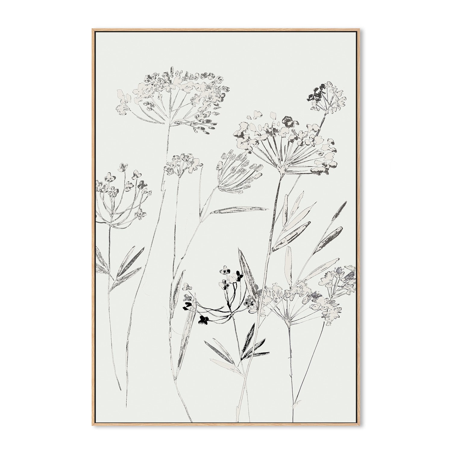 wall-art-print-canvas-poster-framed-White Delicate, Style B , By Asia Jensen-4