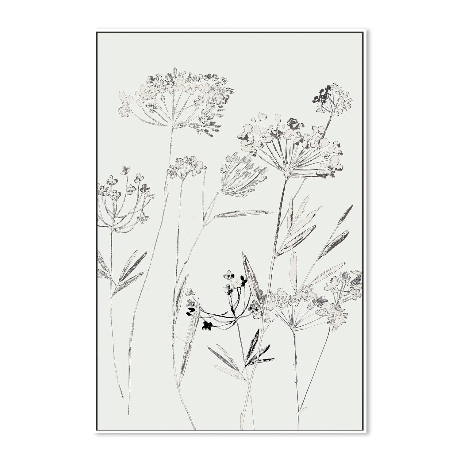 wall-art-print-canvas-poster-framed-White Delicate, Style B , By Asia Jensen-5