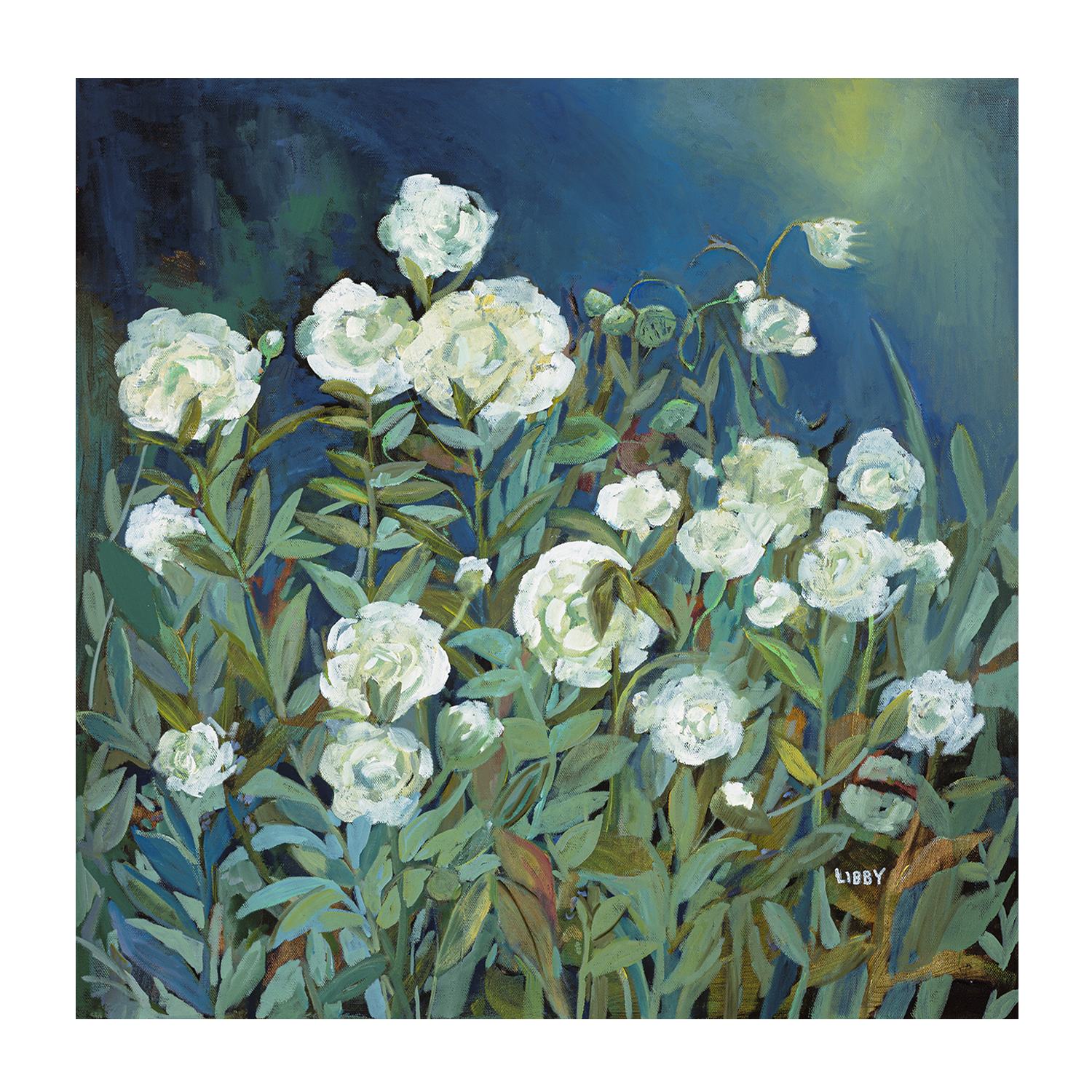 wall-art-print-canvas-poster-framed-White Roses , By Libby Anderson-1