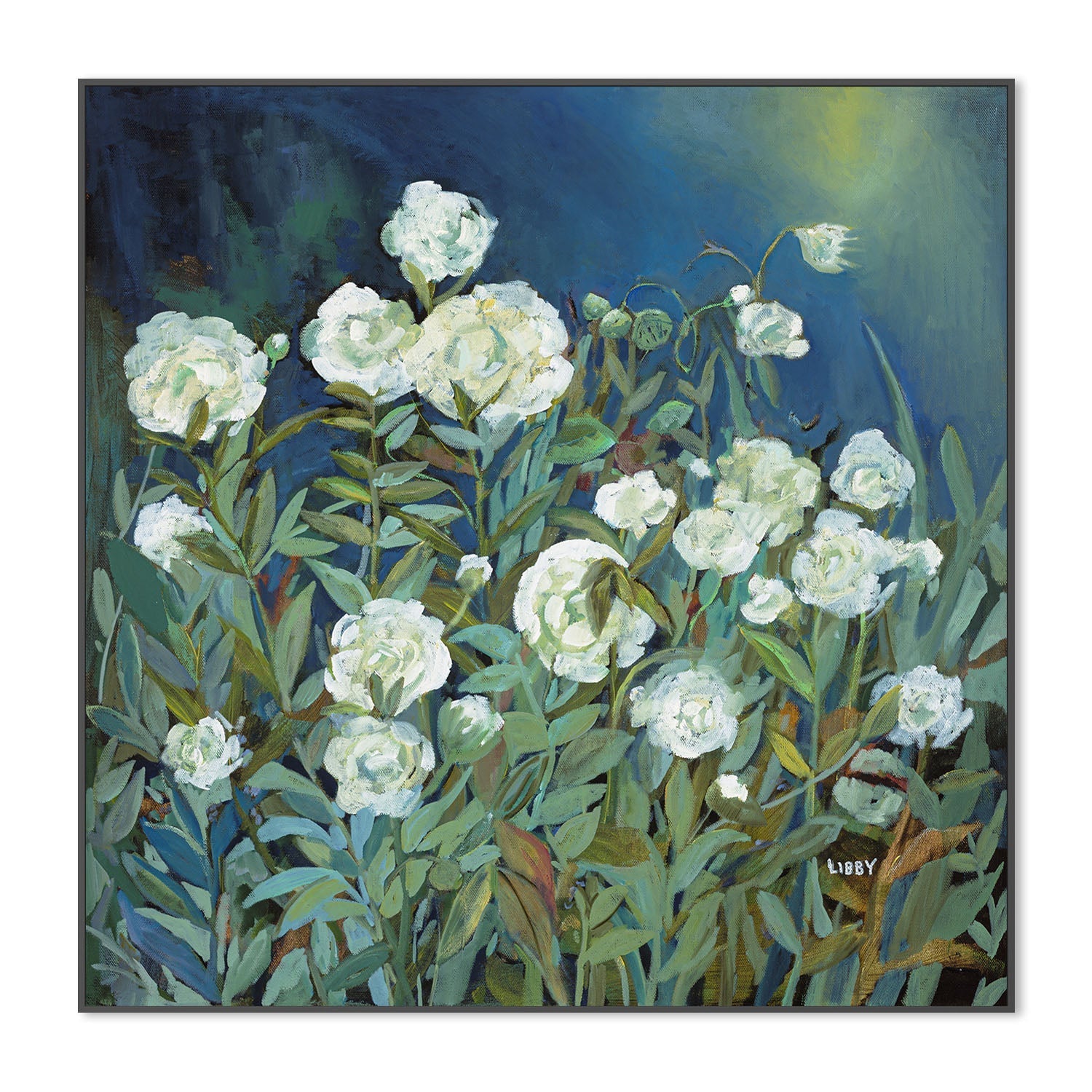 wall-art-print-canvas-poster-framed-White Roses , By Libby Anderson-3
