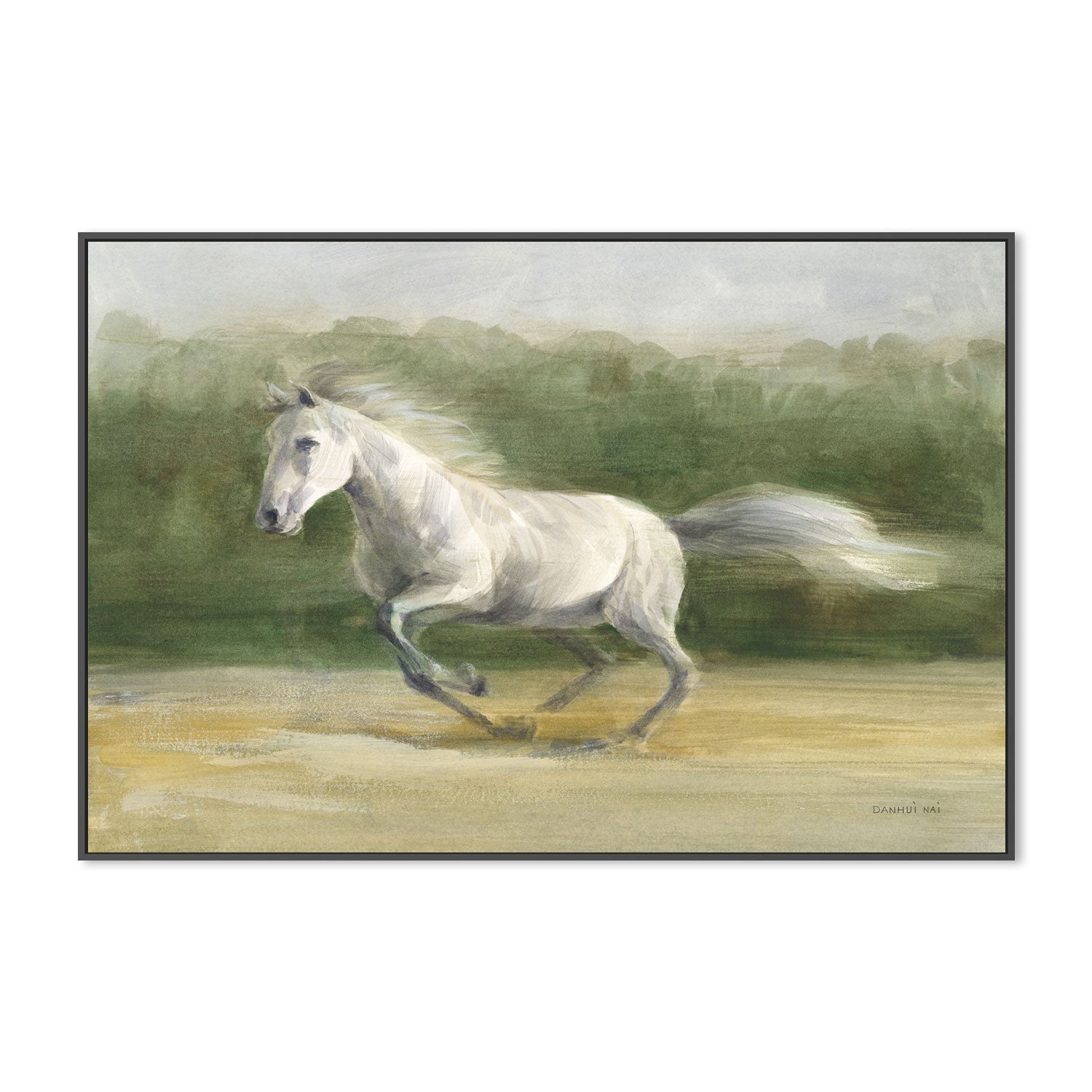 wall-art-print-canvas-poster-framed-White Stallion , By Danhui Nai-GIOIA-WALL-ART
