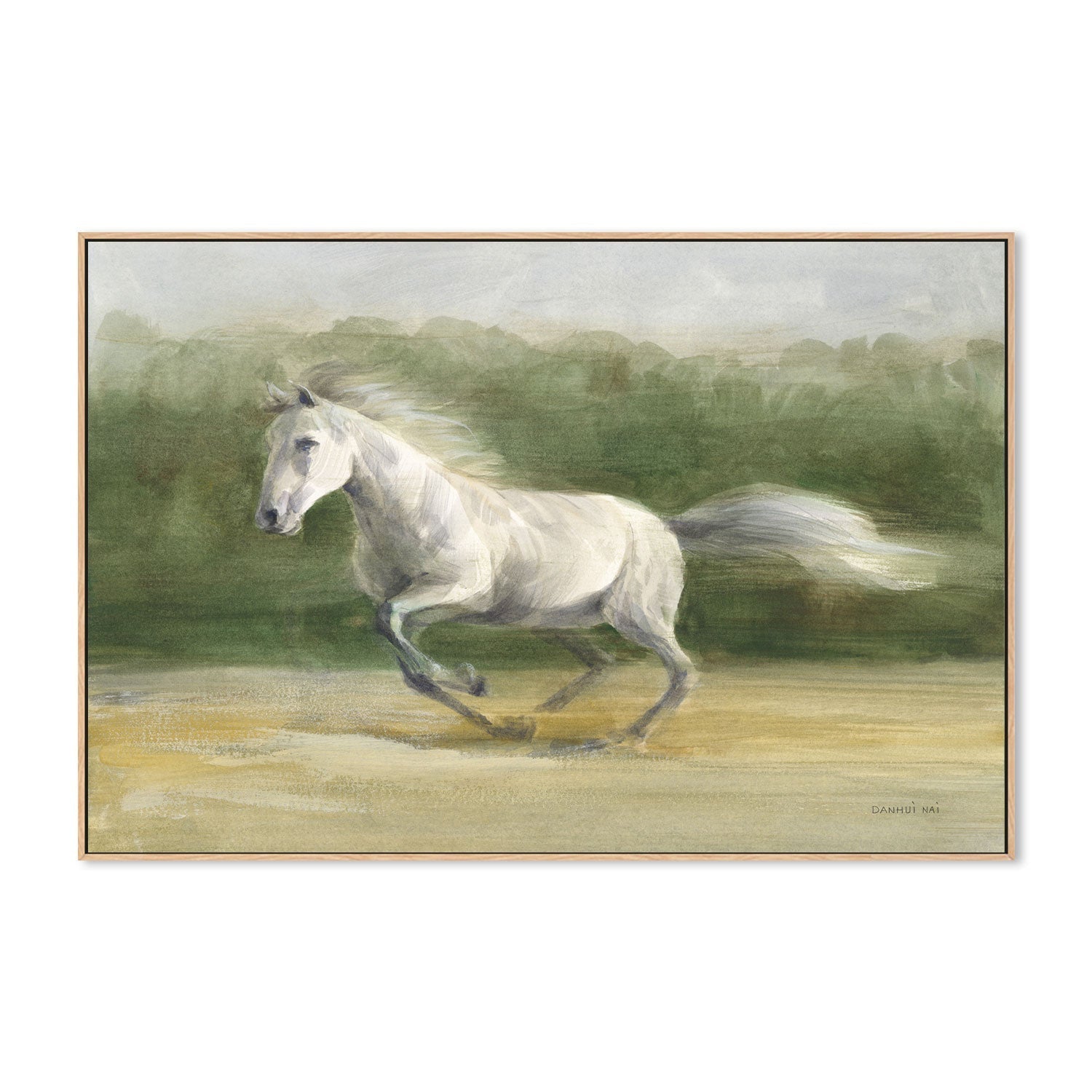 wall-art-print-canvas-poster-framed-White Stallion , By Danhui Nai-GIOIA-WALL-ART