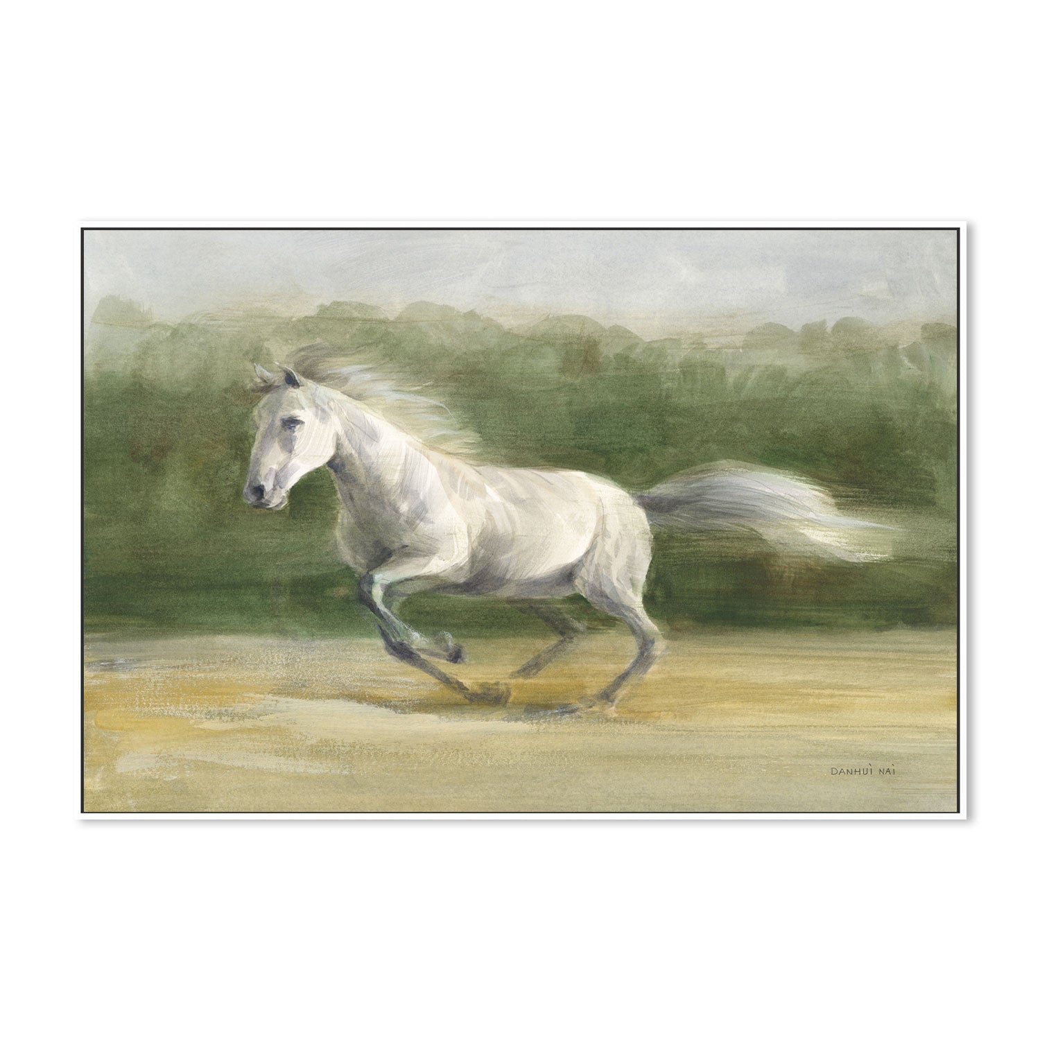 wall-art-print-canvas-poster-framed-White Stallion , By Danhui Nai-GIOIA-WALL-ART