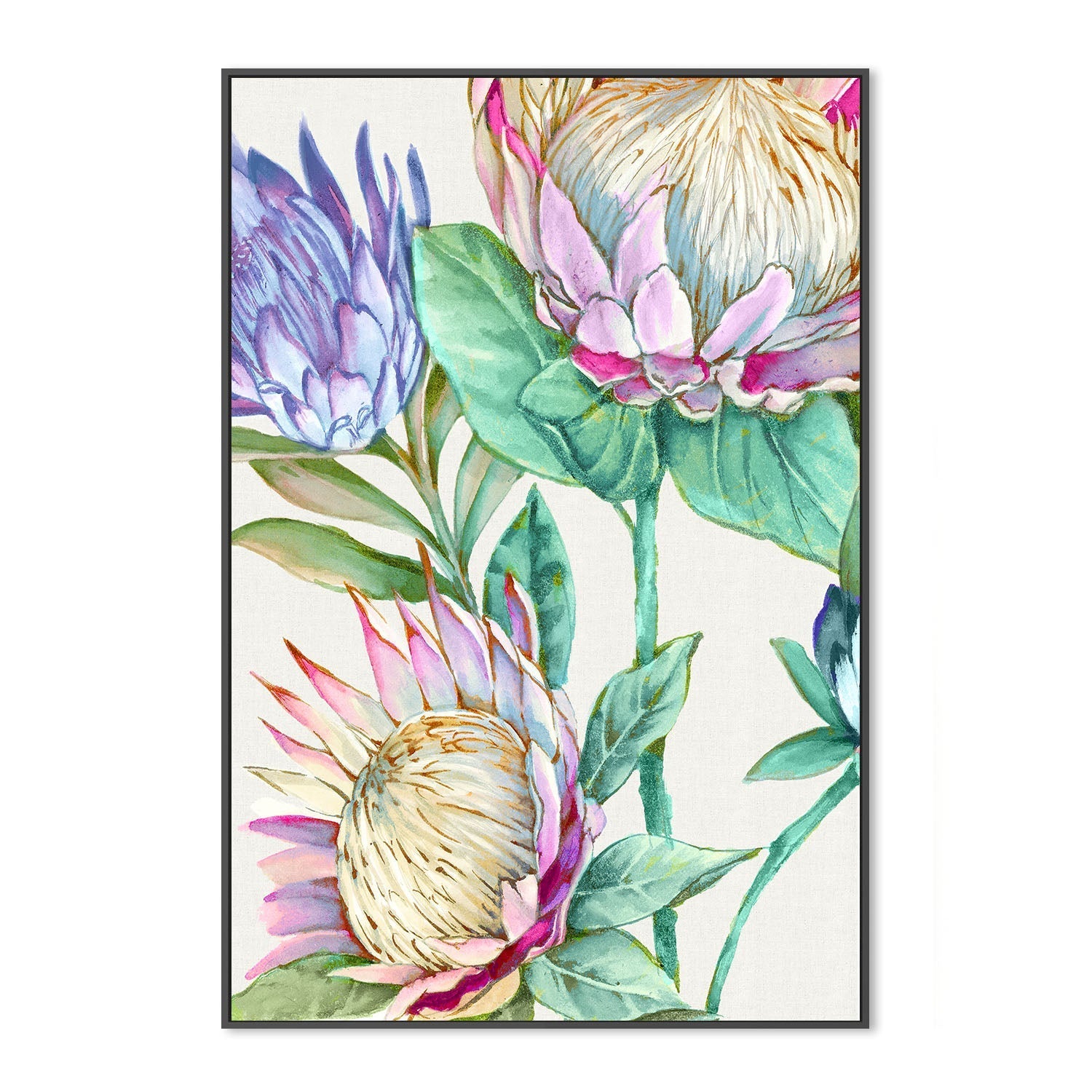 wall-art-print-canvas-poster-framed-Wild King Protea , By Alex Black-3