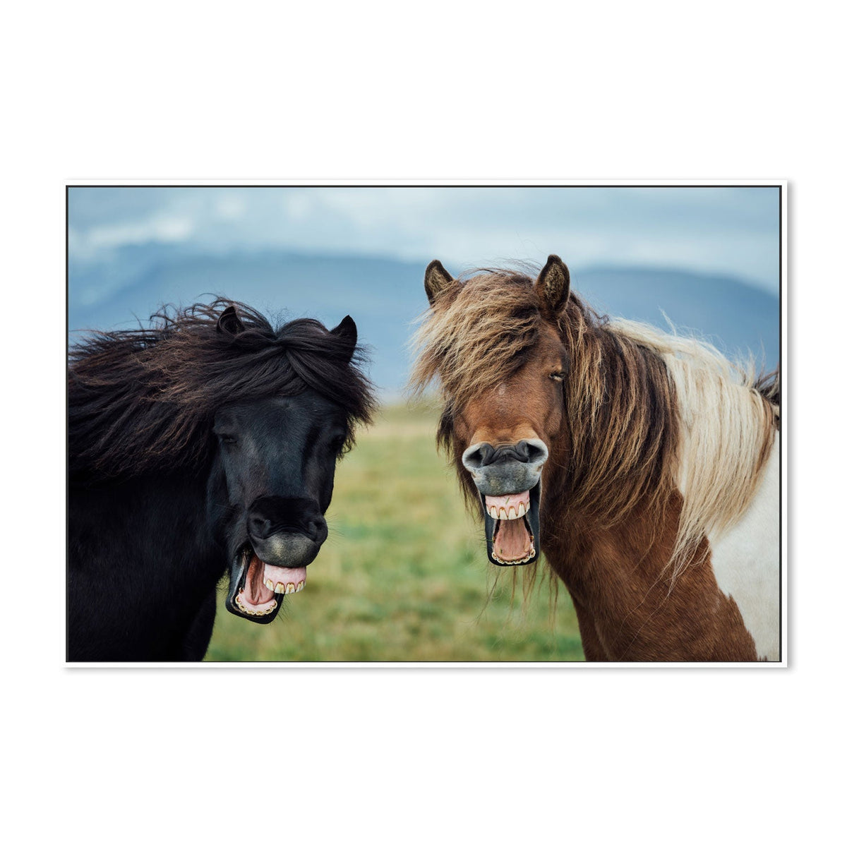wall-art-print-canvas-poster-framed-Wild Smile, by Nir Amos-by-Plus X Studio-Gioia Wall Art