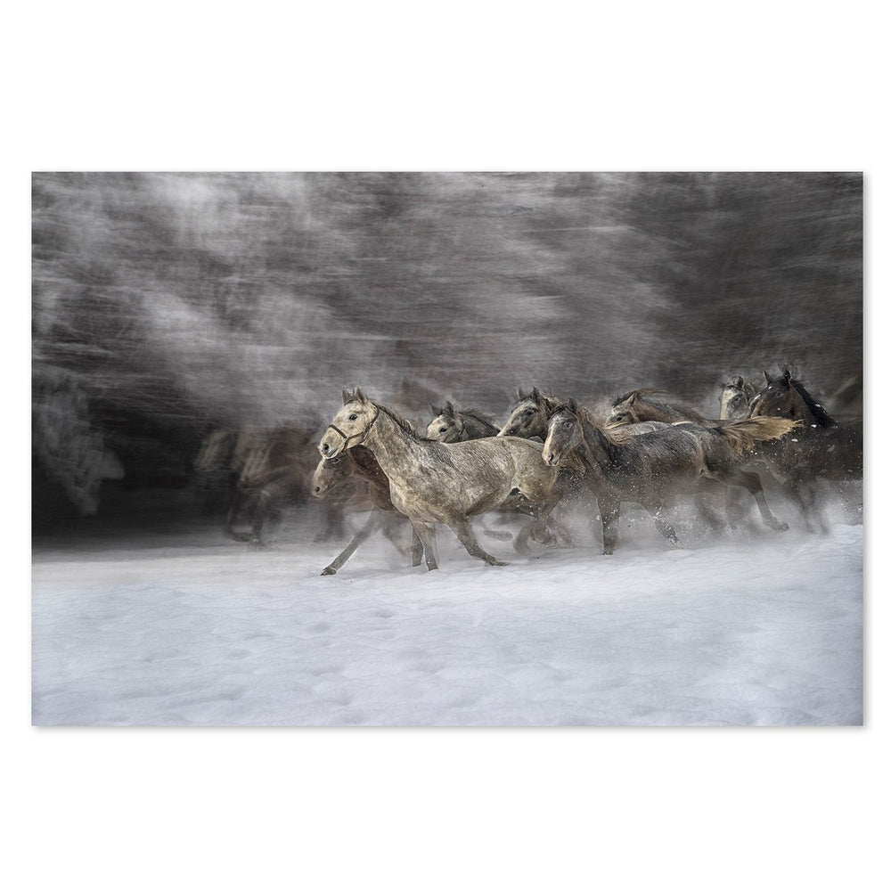 wall-art-print-canvas-poster-framed-Winter Joy, By Milan Malovrh-by-Plus X Studio-Gioia Wall Art