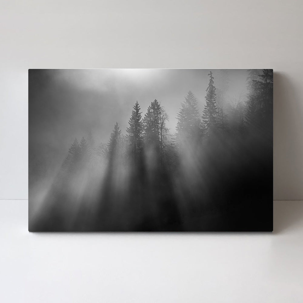 Wintersun, by Andy Dauer-Gioia-Prints-Framed-Canvas-Poster-GIOIA-WALL-ART